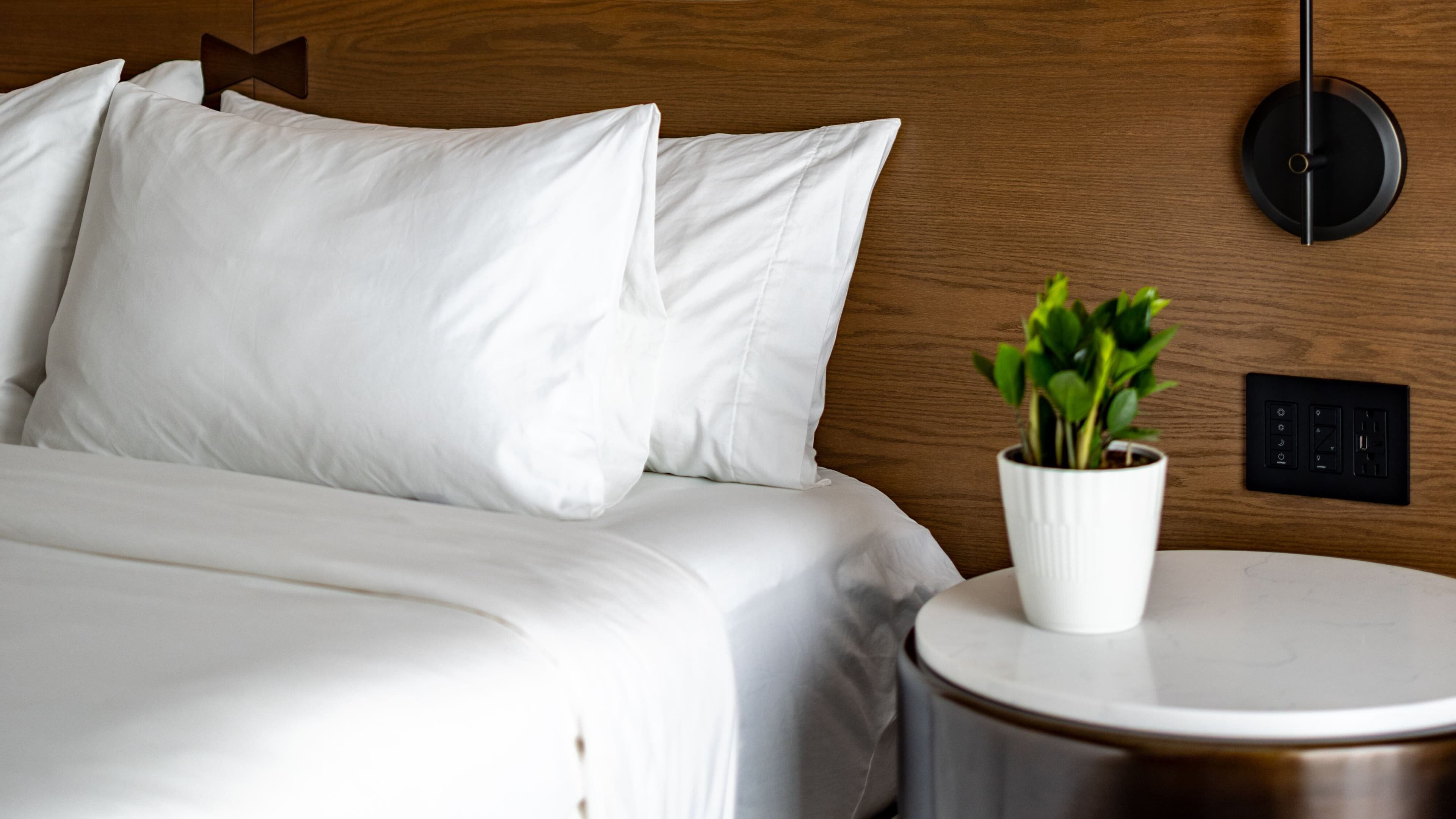 Live Oak, Charleston Historic District, a Tribute Portfolio Hotel — 2