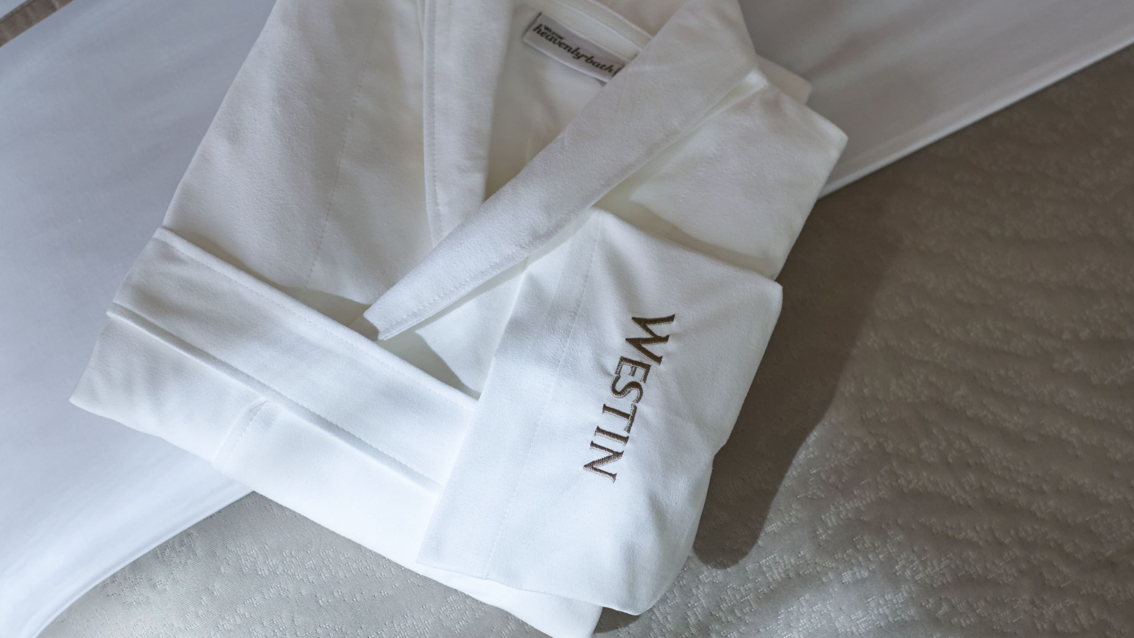 The Westin Detroit Metropolitan Airport — 5