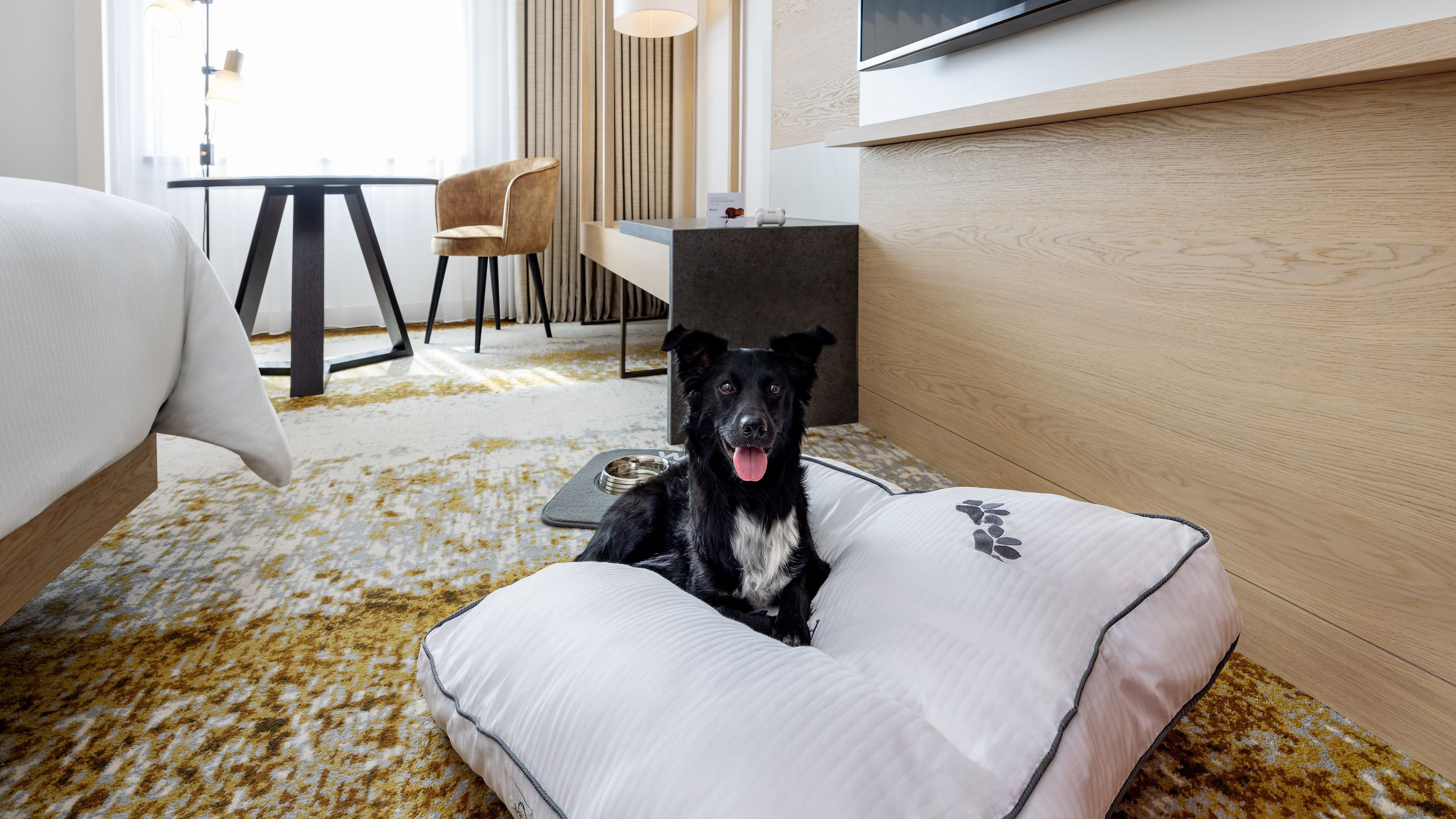 Deluxe Guest room - Image 6