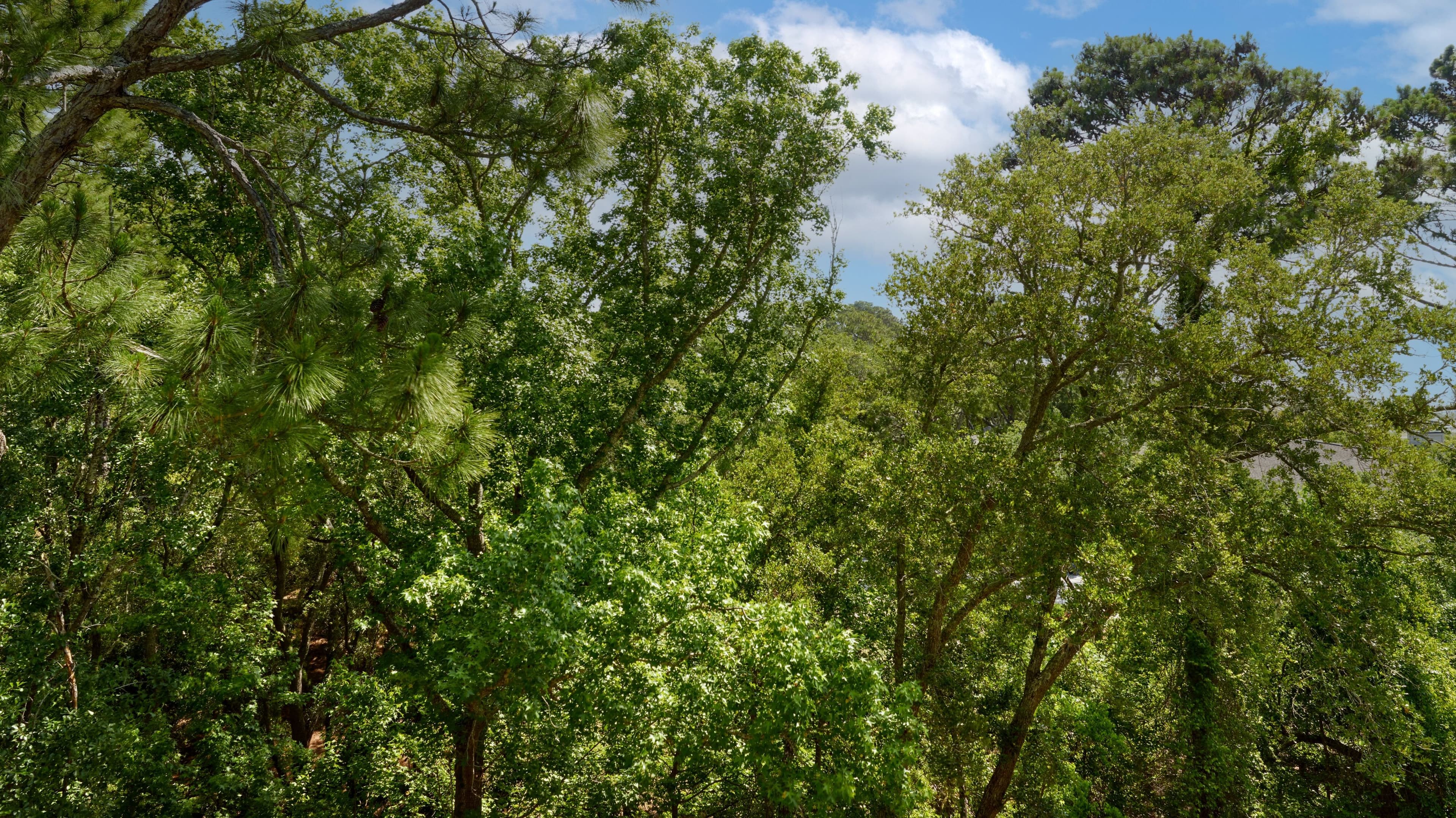 The Westin Hilton Head Island Resort & Spa — 65