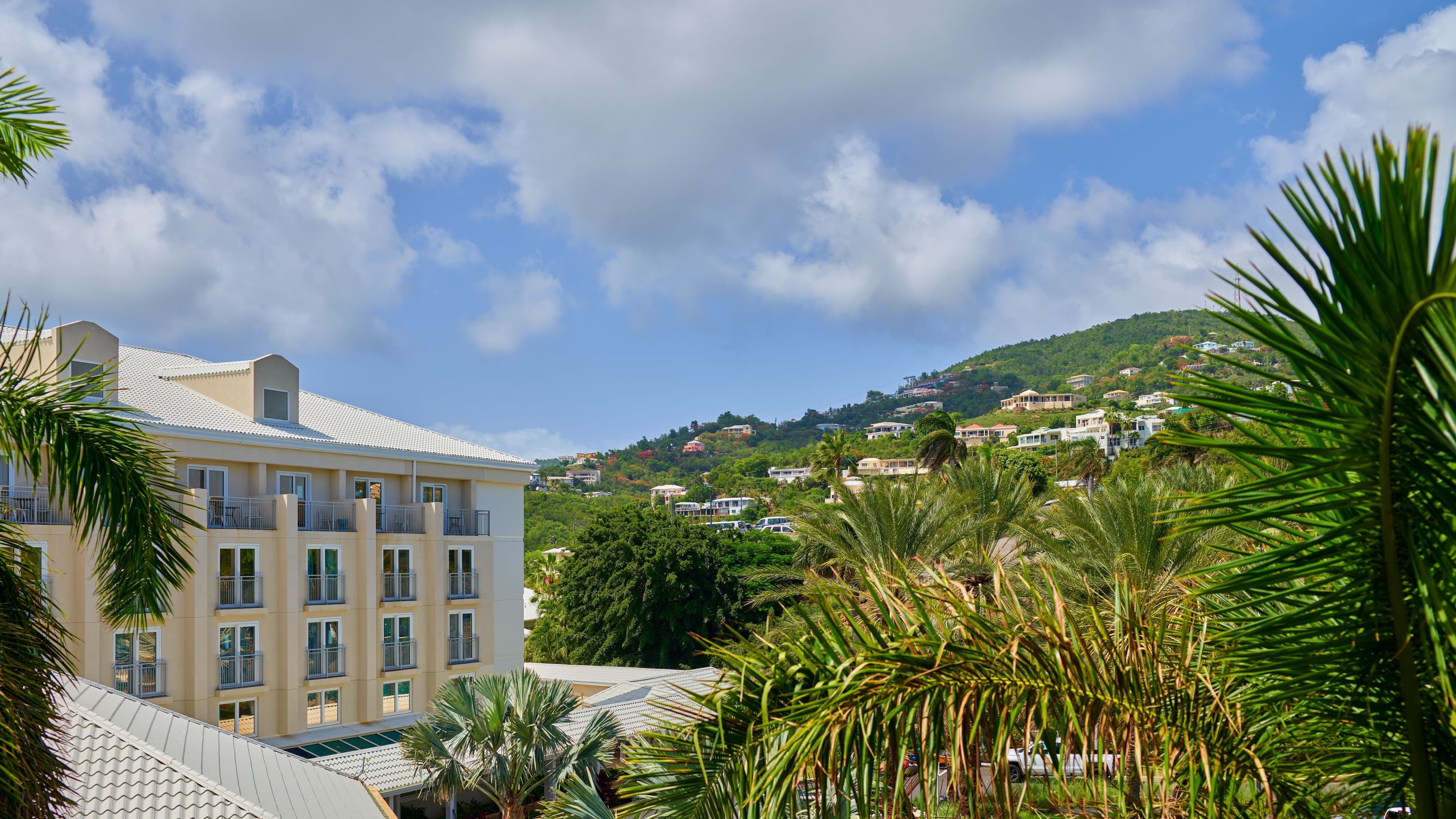 Garden King - Image 2