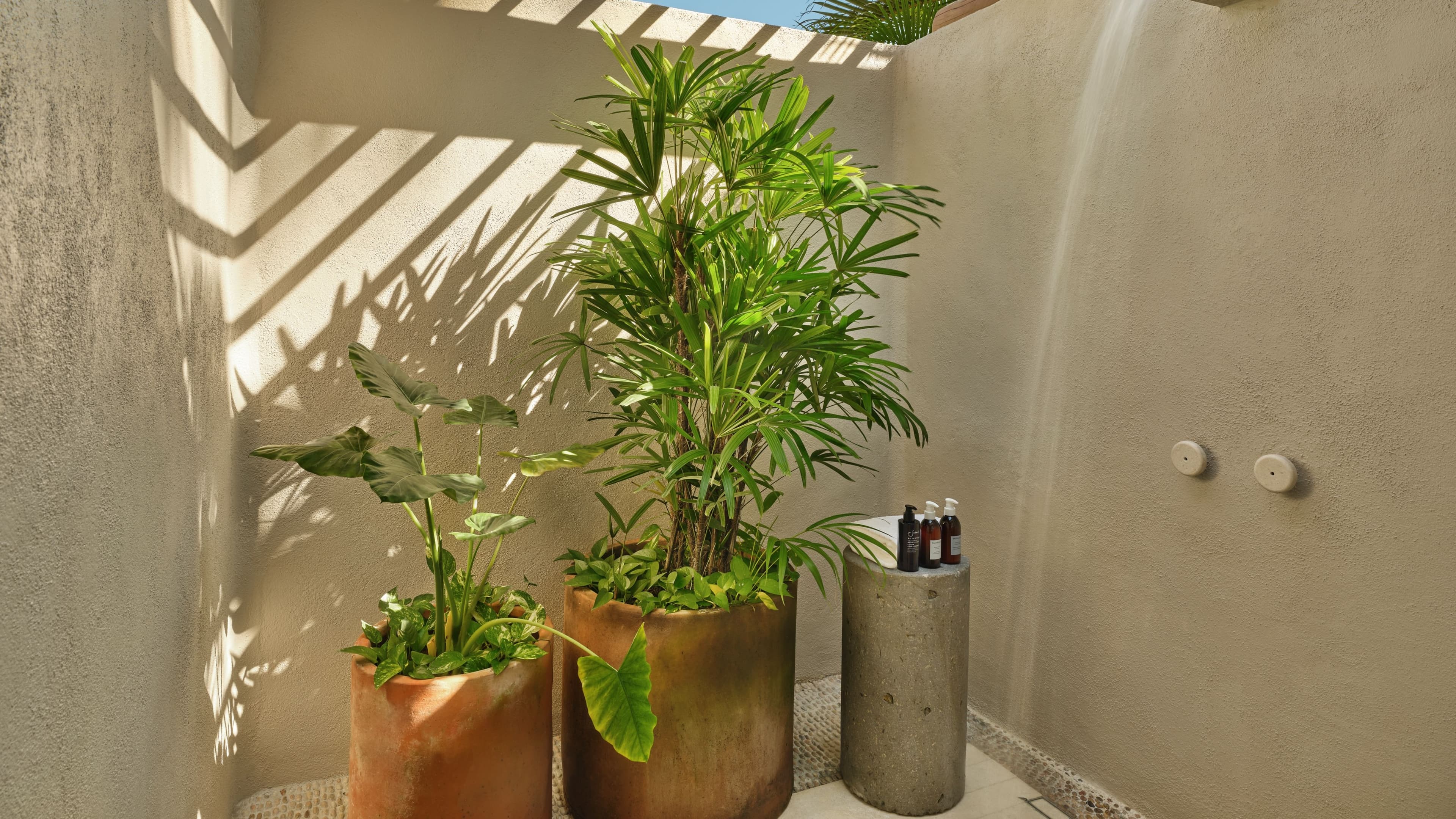 Casita - Image 6