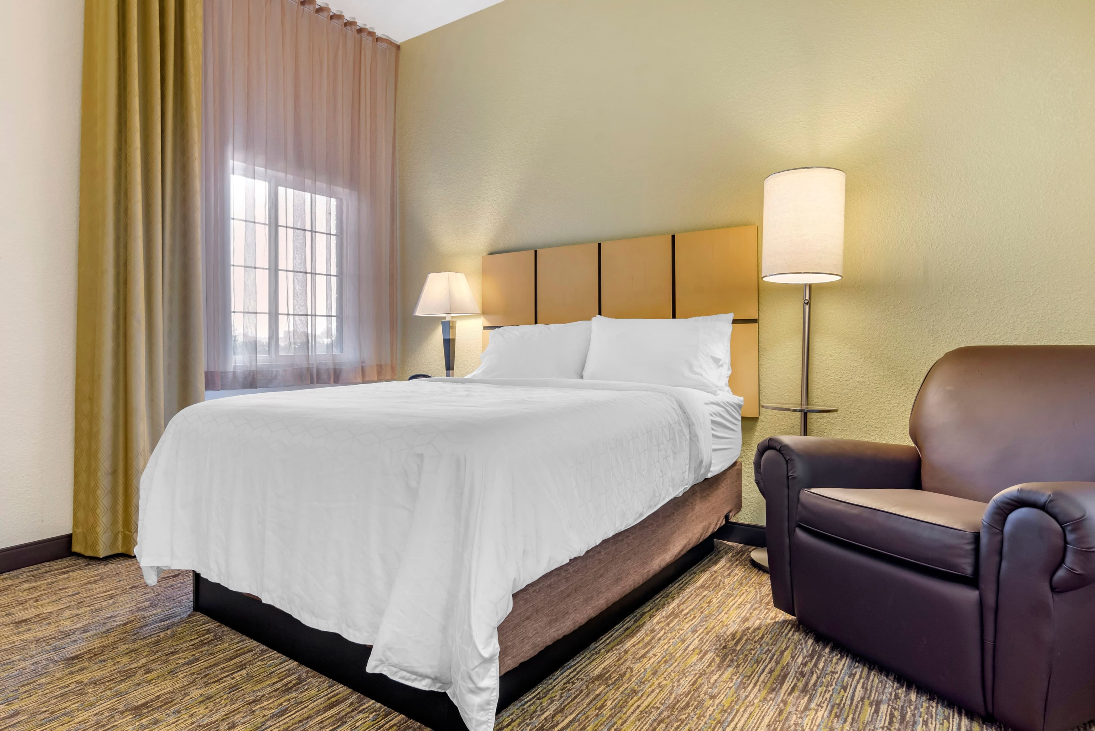 Studio Suite - Image 5