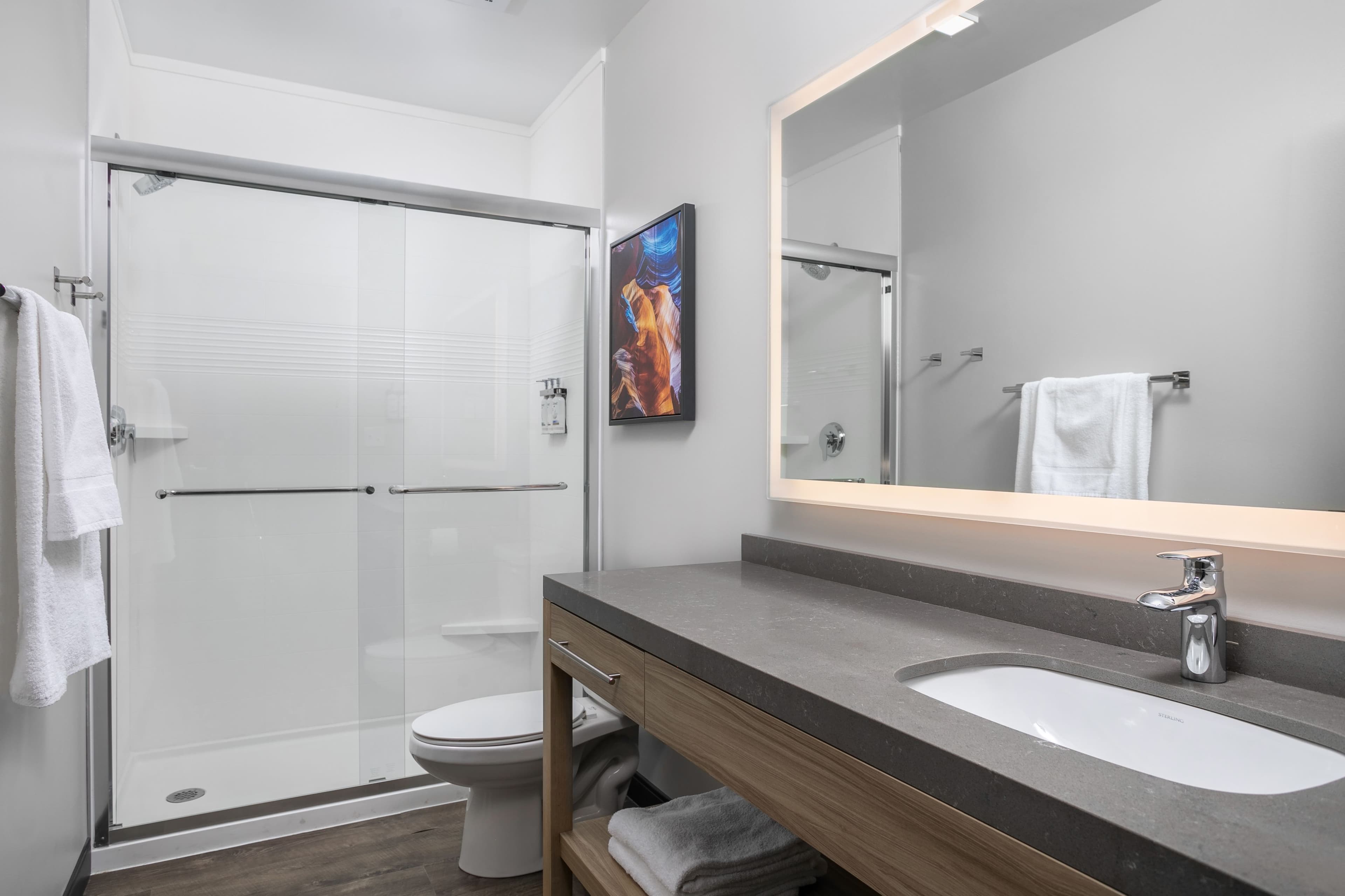 Standard Suite - Image 5