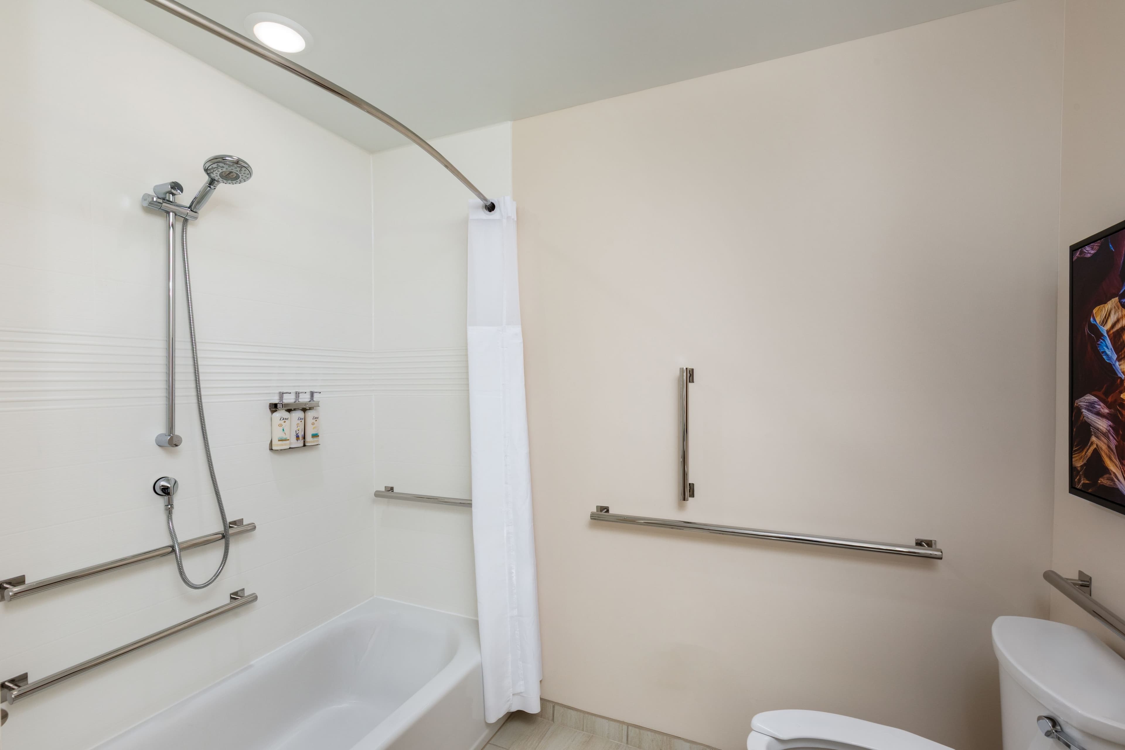 1 King Studio Suite Mobility Accessible Tub - Image 6