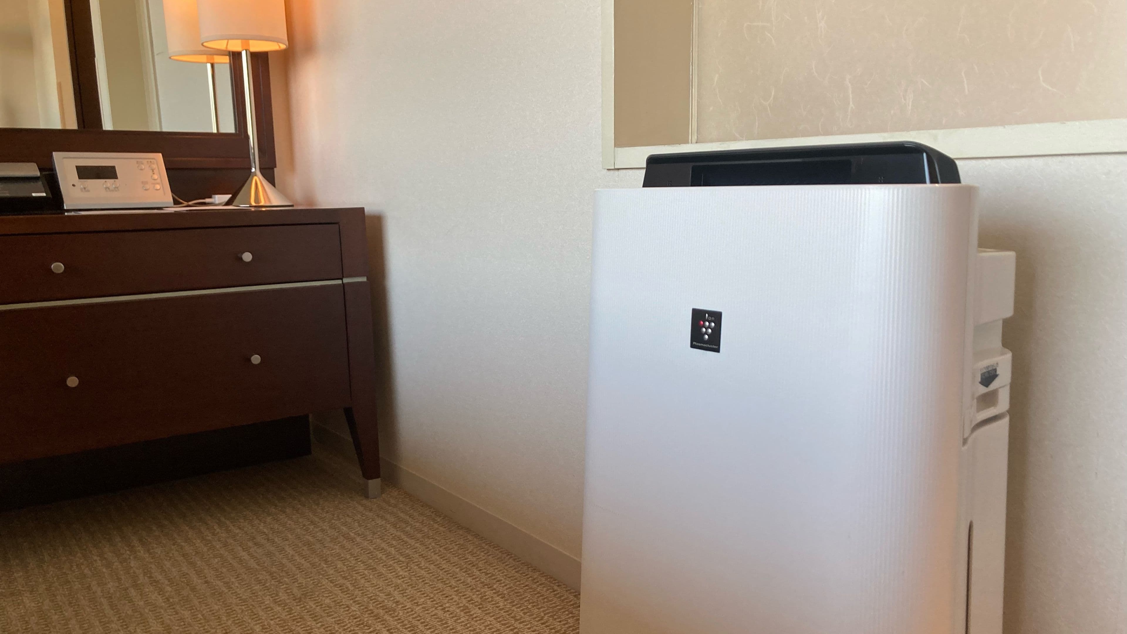 ANA Crowne Plaza Okayama — 5