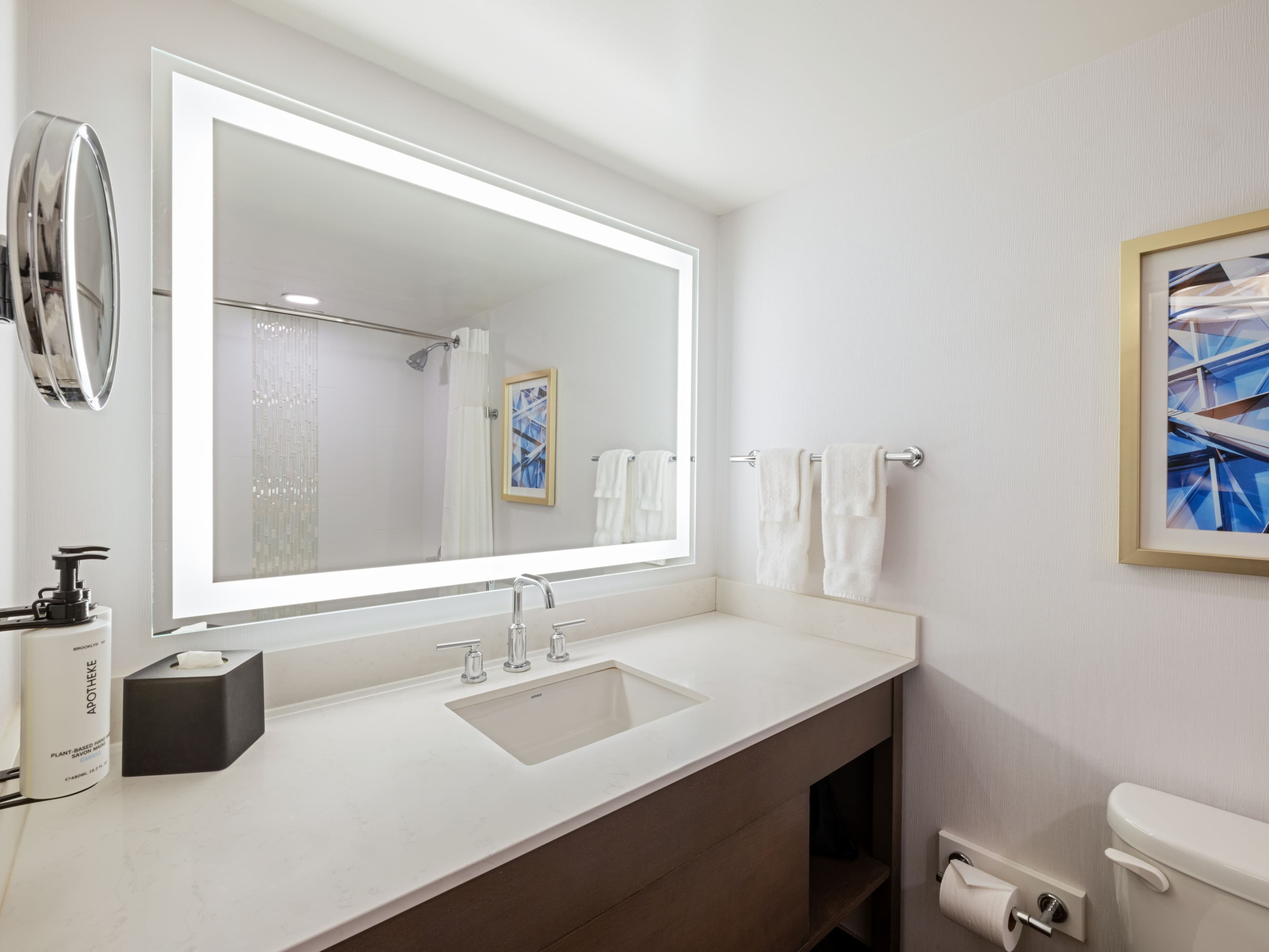 Crowne Plaza Albany - The Desmond Hotel - Image 3