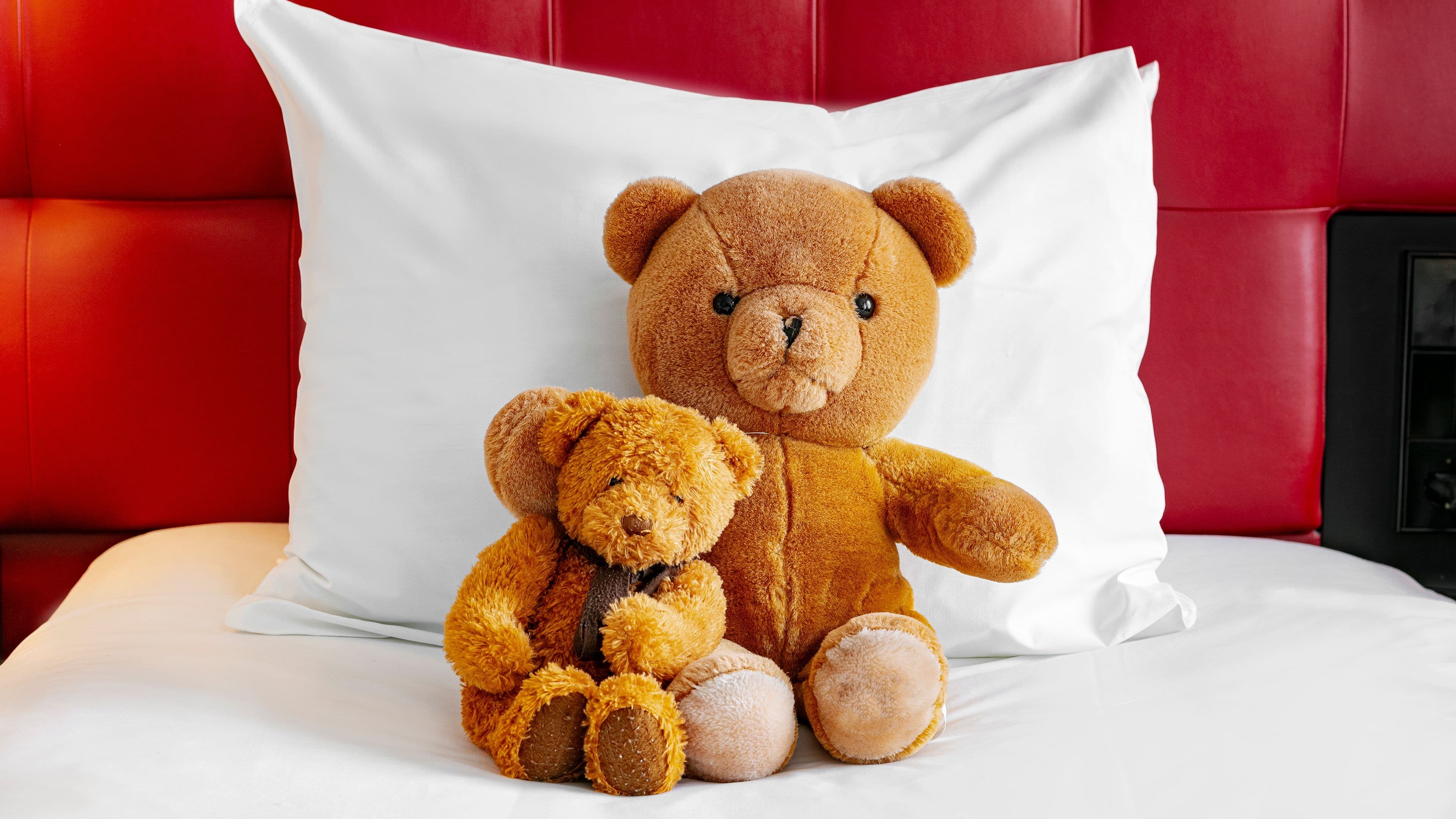 Crowne Plaza Amsterdam - South — 58