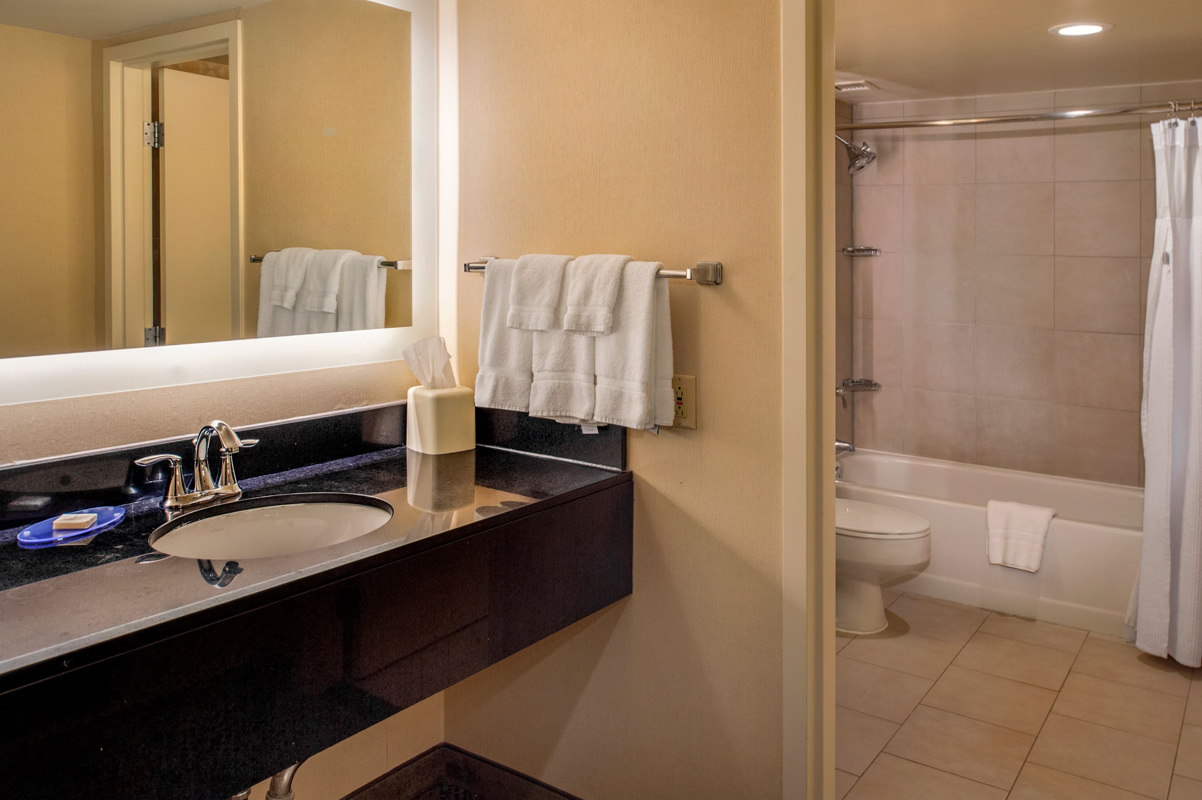 Crowne Plaza St. Louis Airport — 23