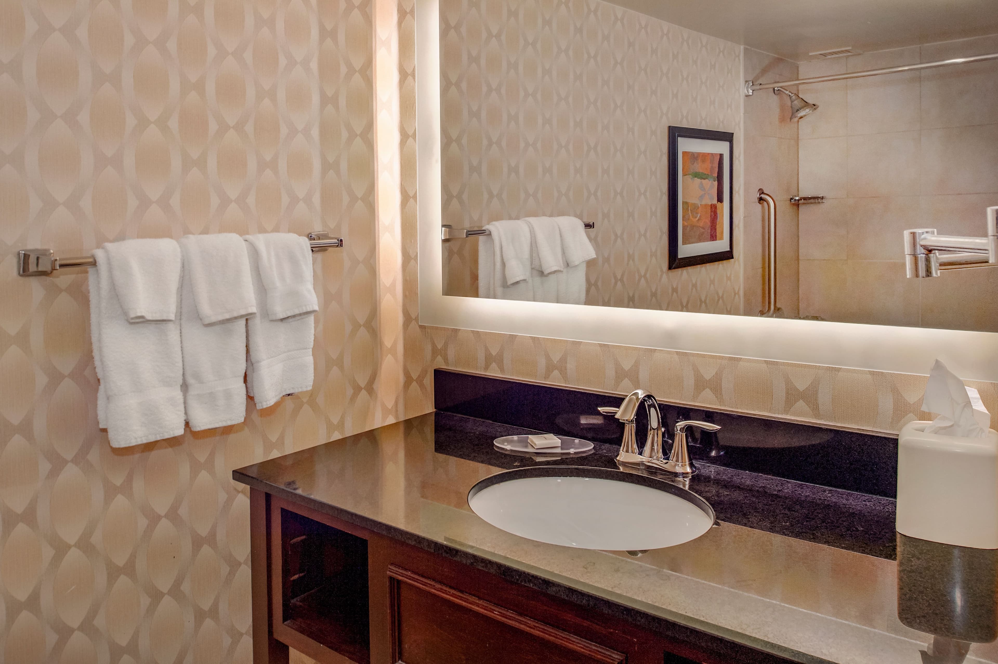 Crowne Plaza St. Louis Airport — 14