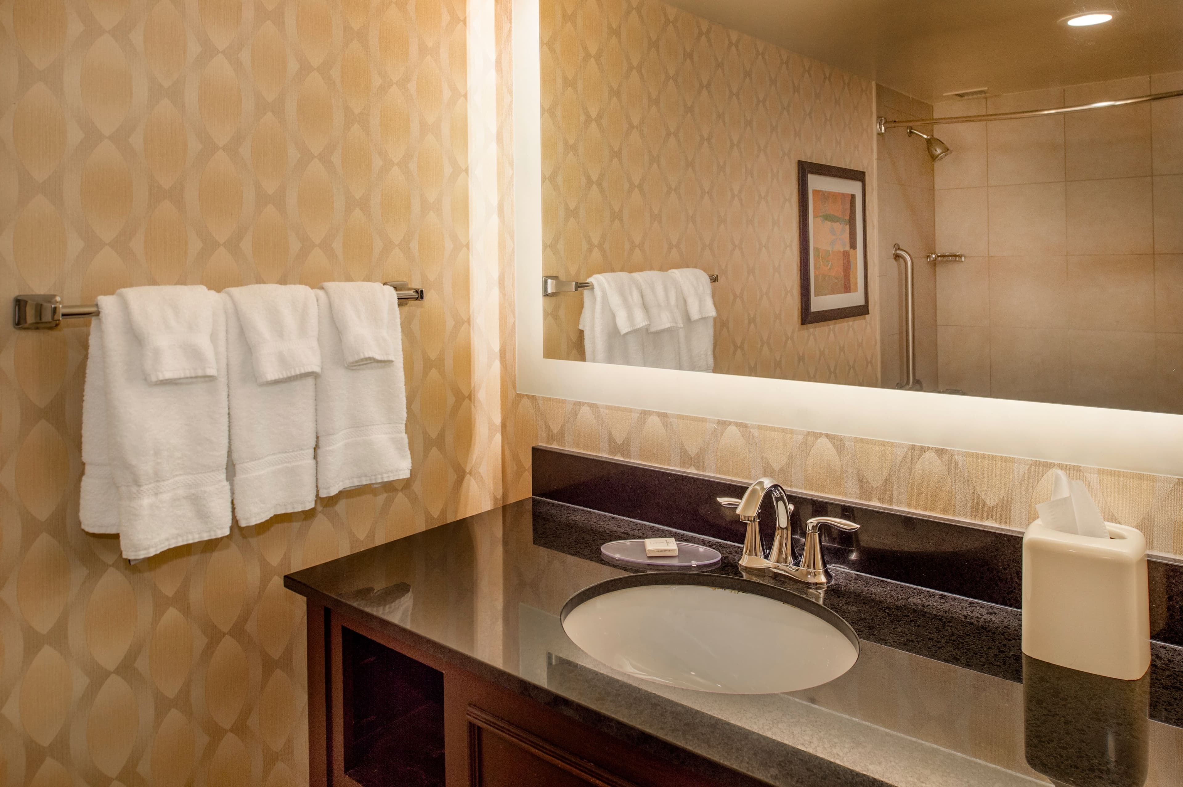 Crowne Plaza St. Louis Airport — 100