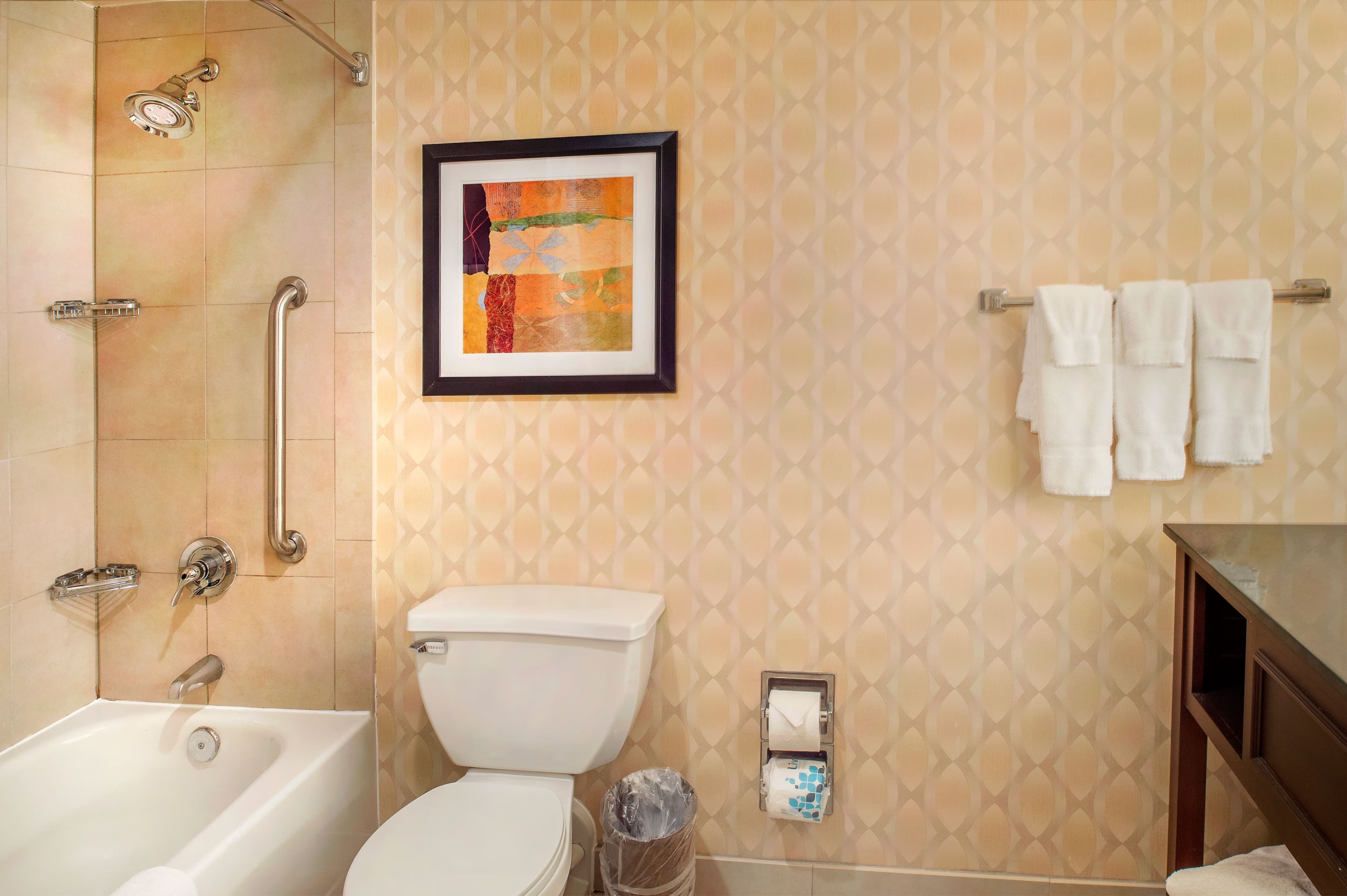 Crowne Plaza St. Louis Airport — 43