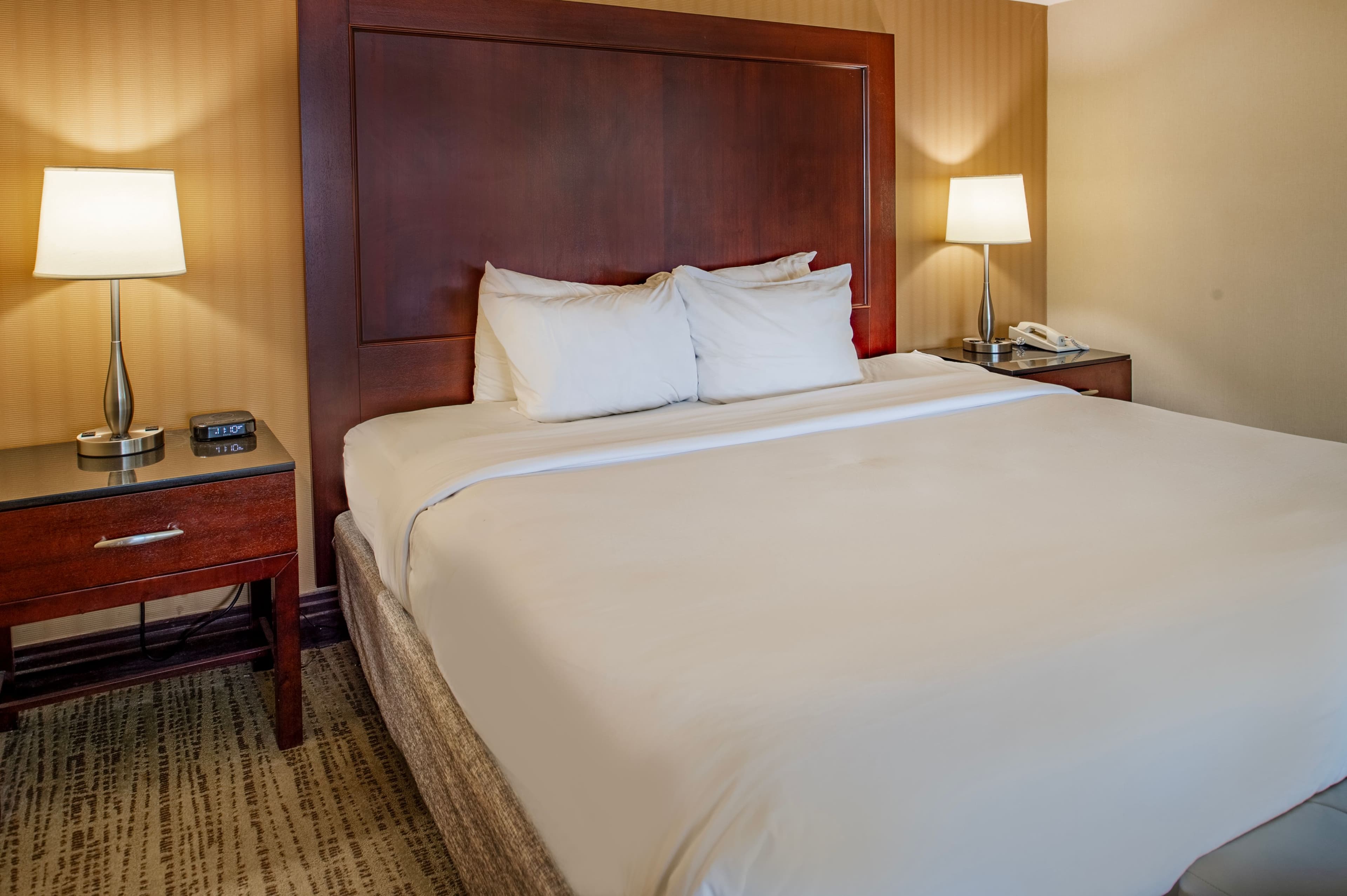 Crowne Plaza St. Louis Airport — 102