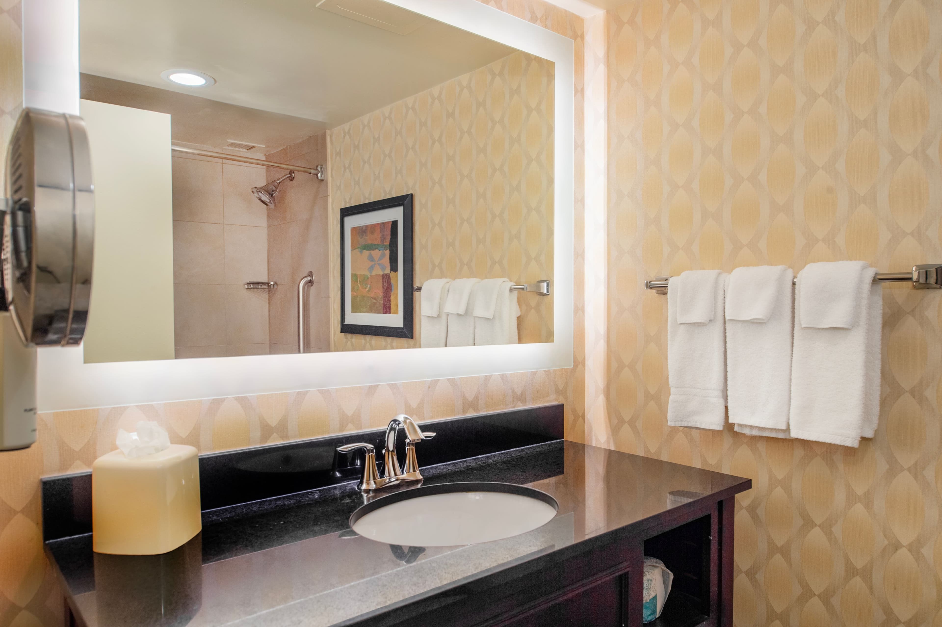 Crowne Plaza St. Louis Airport — 103