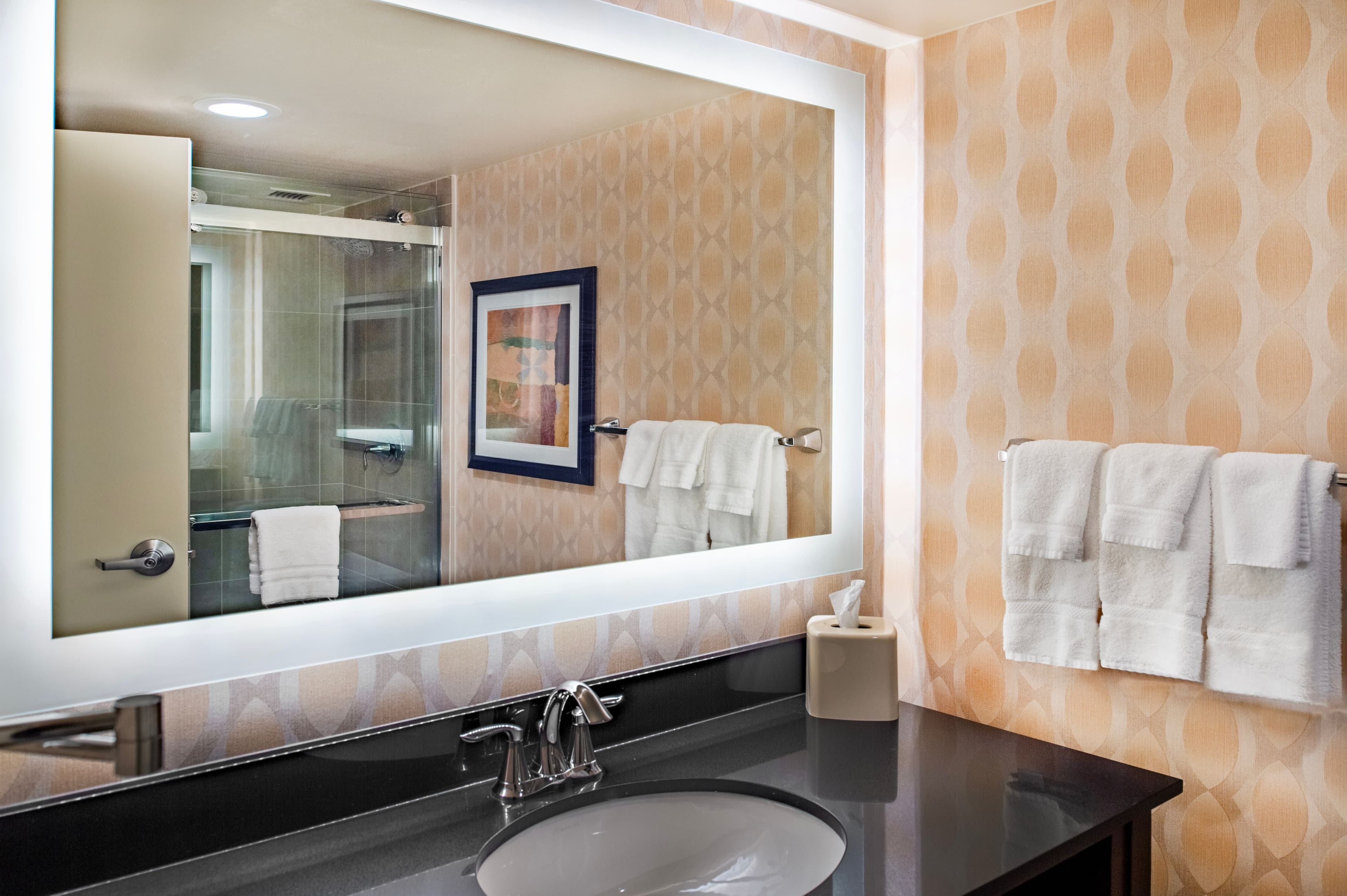 Crowne Plaza St. Louis Airport — 82