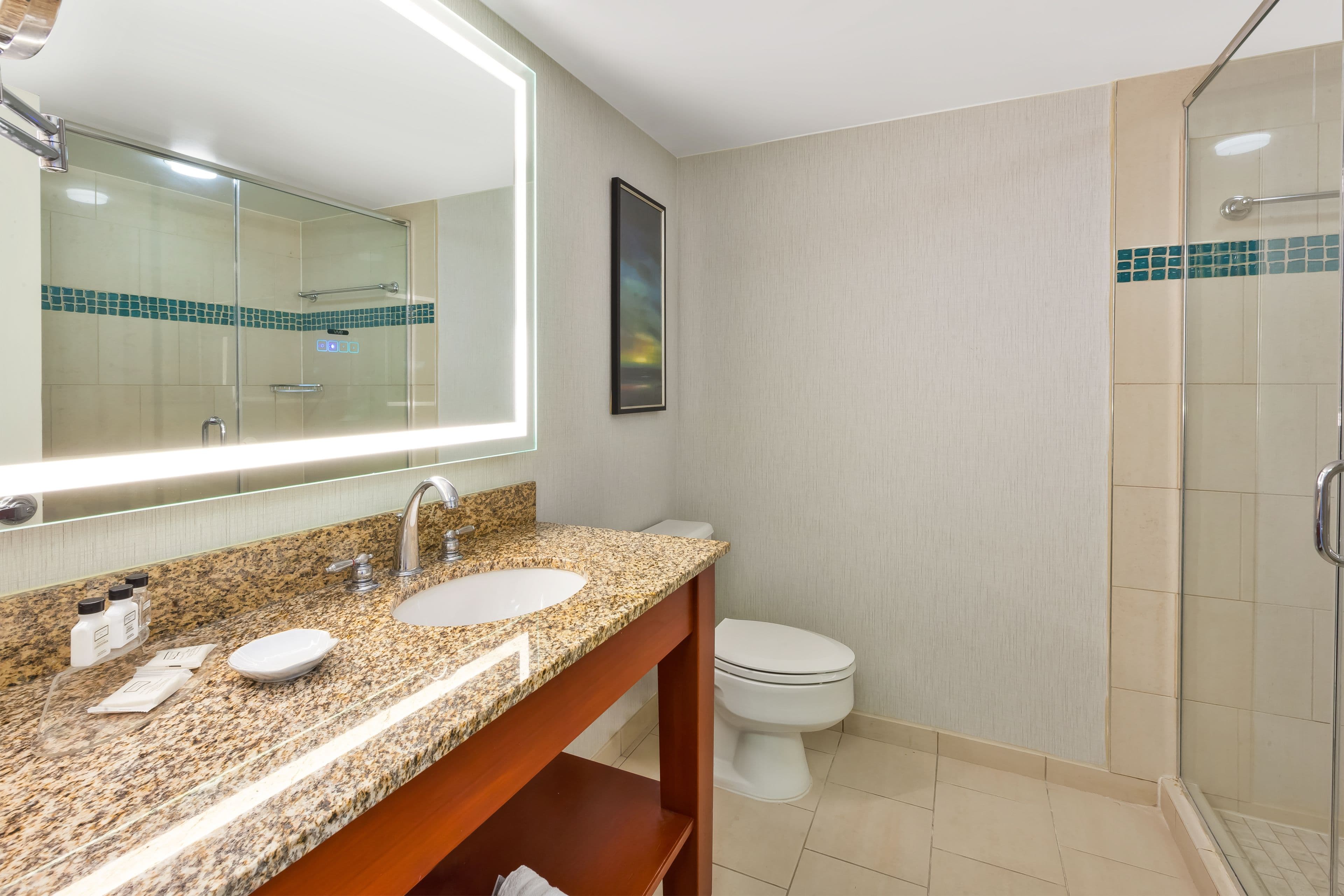 Crowne Plaza Dulles Airport — 15