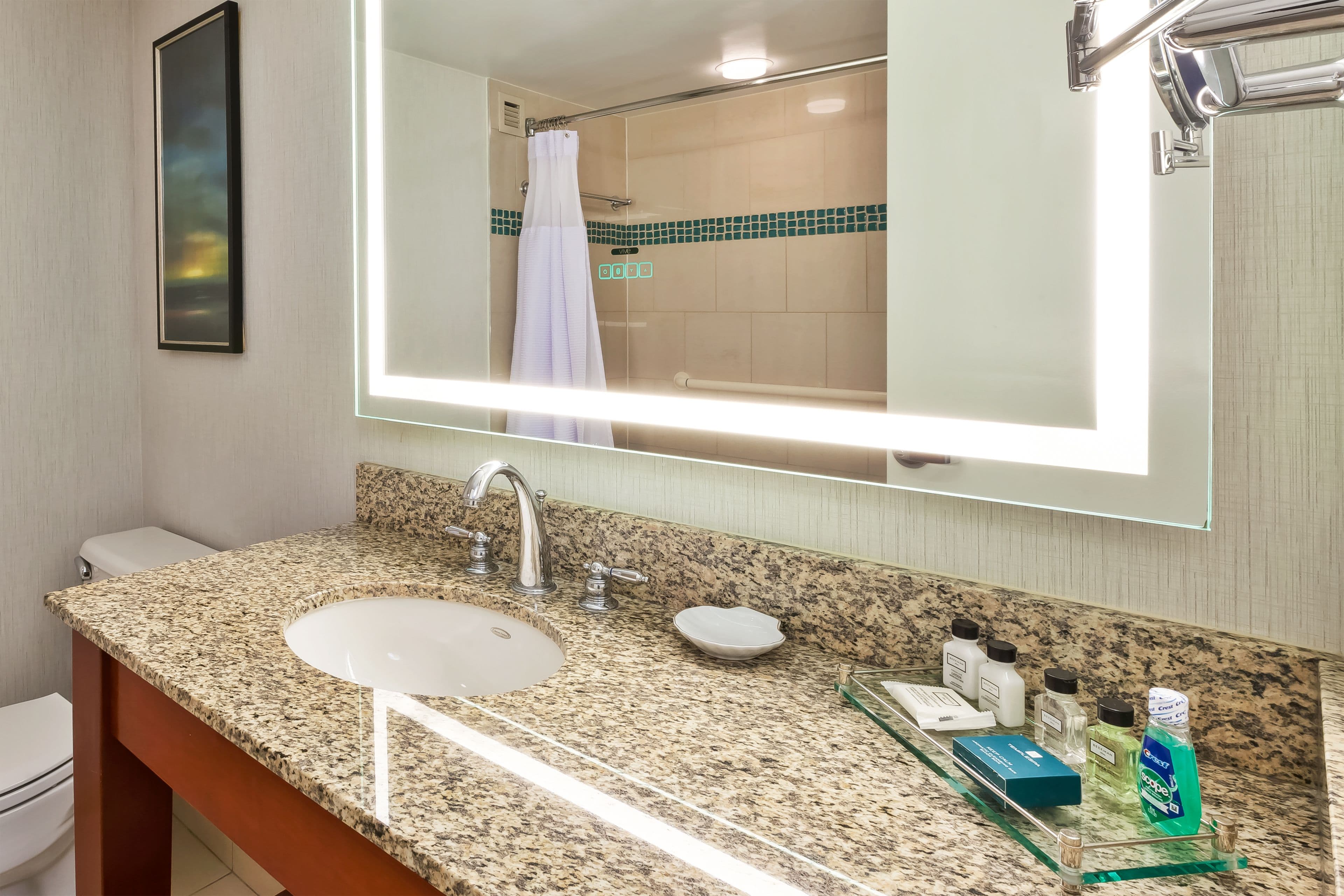 Crowne Plaza Dulles Airport — 14