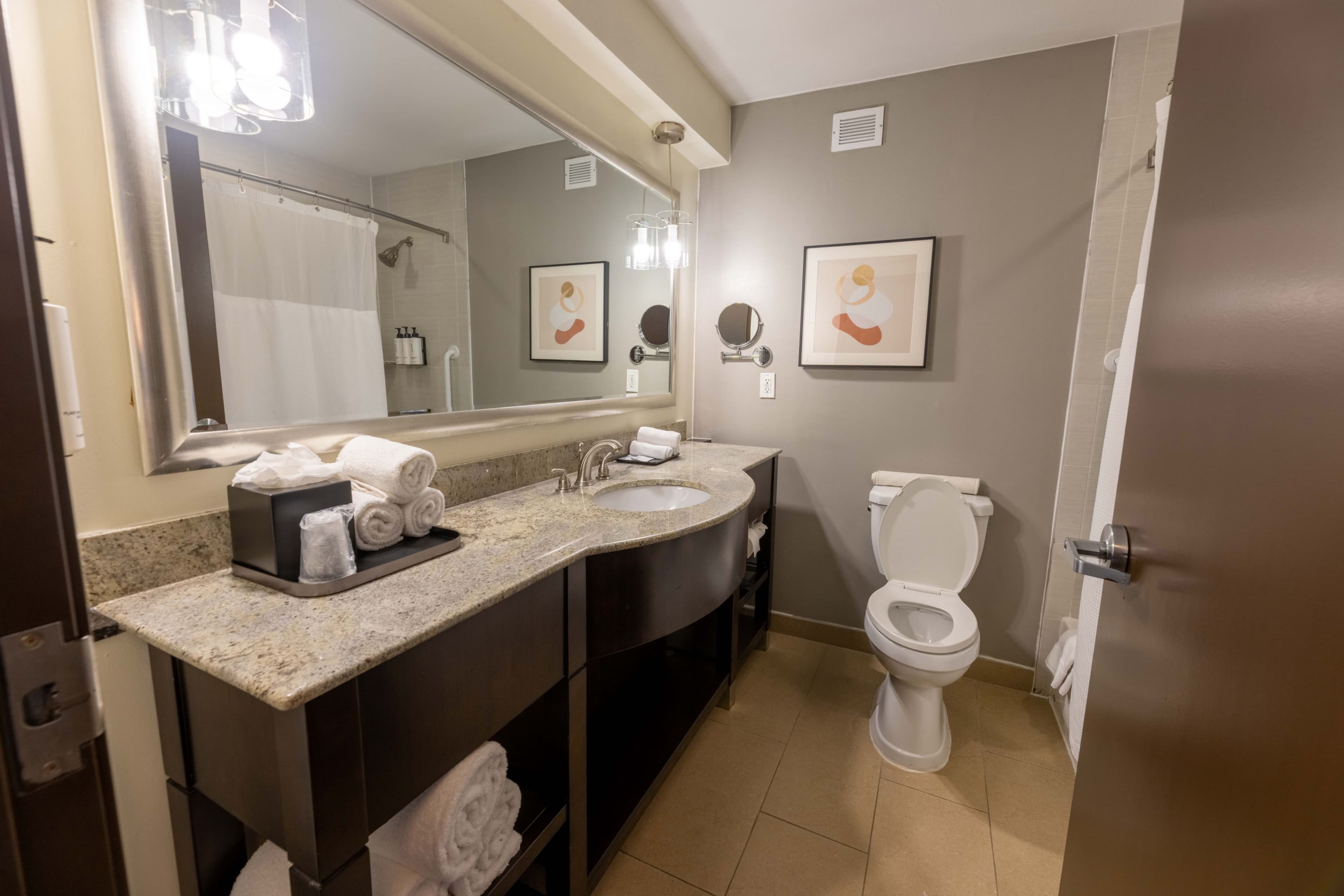 Crowne Plaza Houston Galleria Area — 34