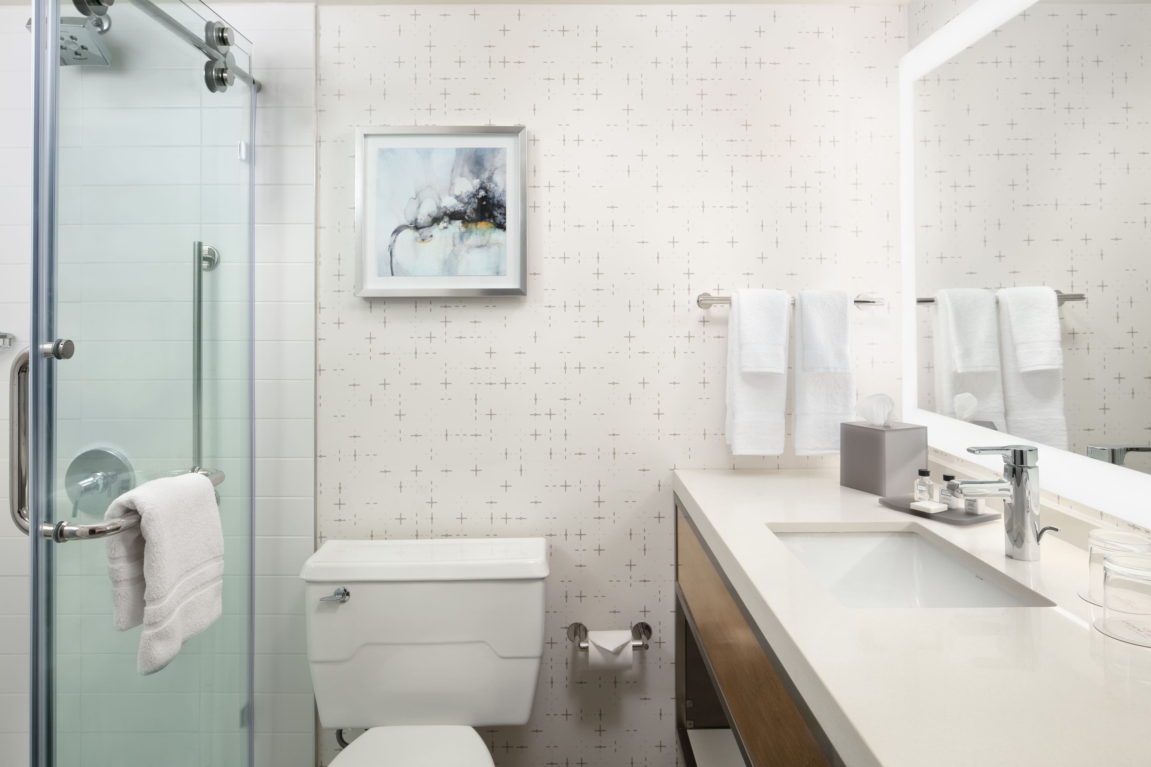Crowne Plaza Houston Med Ctr-Galleria Area — 14