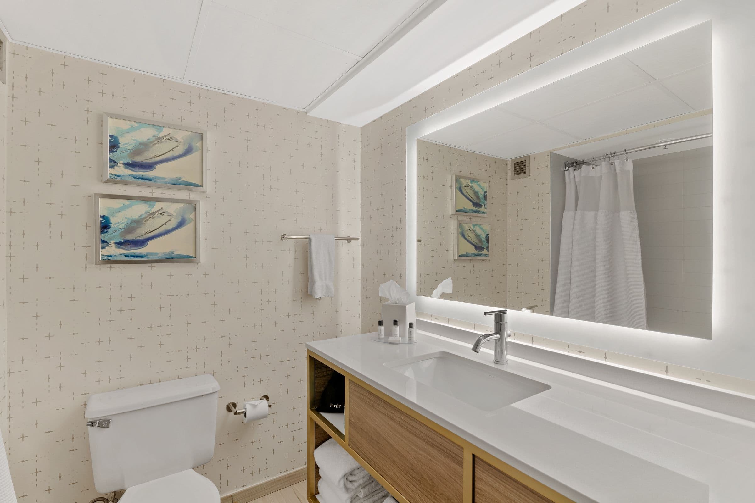 Crowne Plaza Houston Med Ctr-Galleria Area — 12
