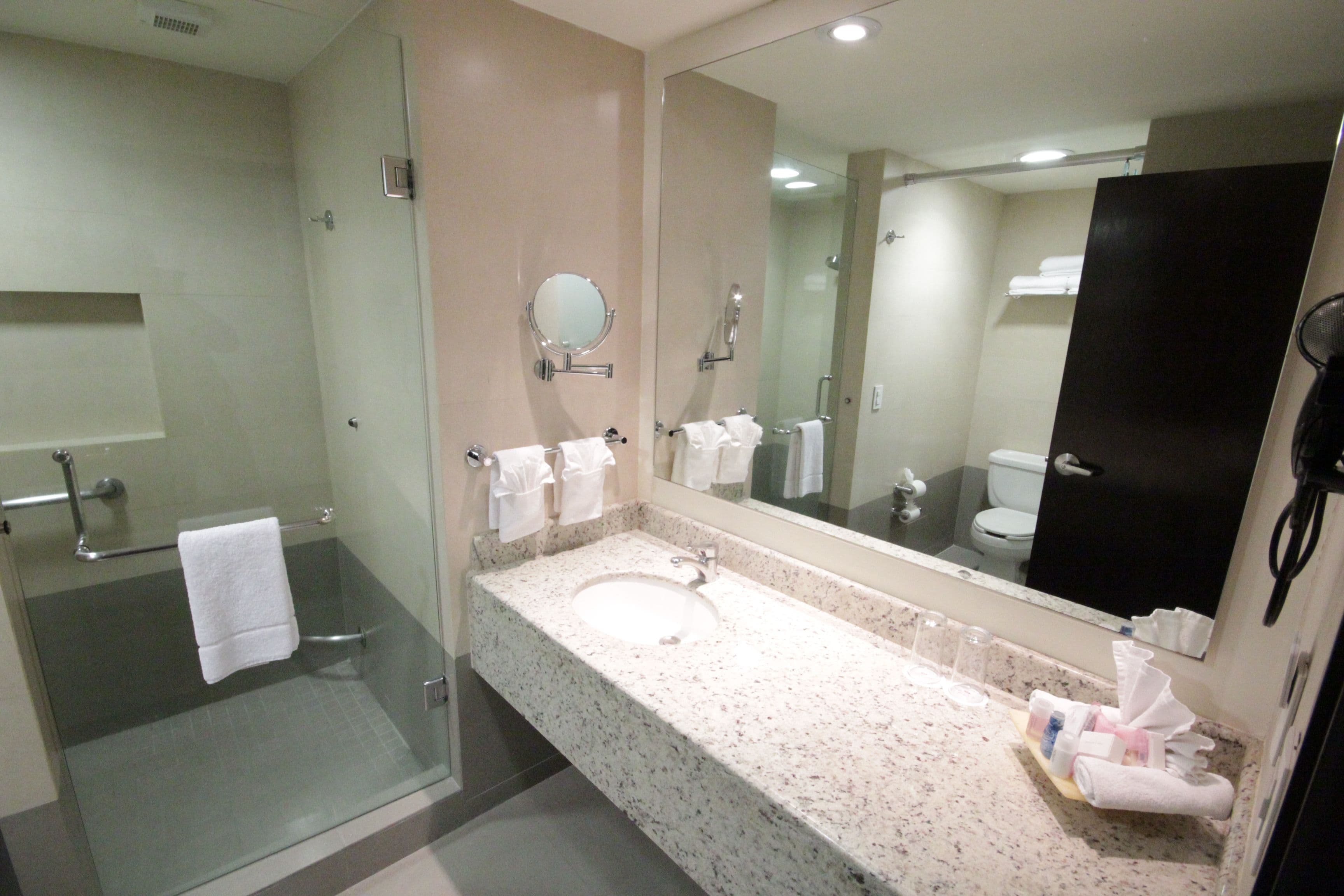 Crowne Plaza Leon - Image 5