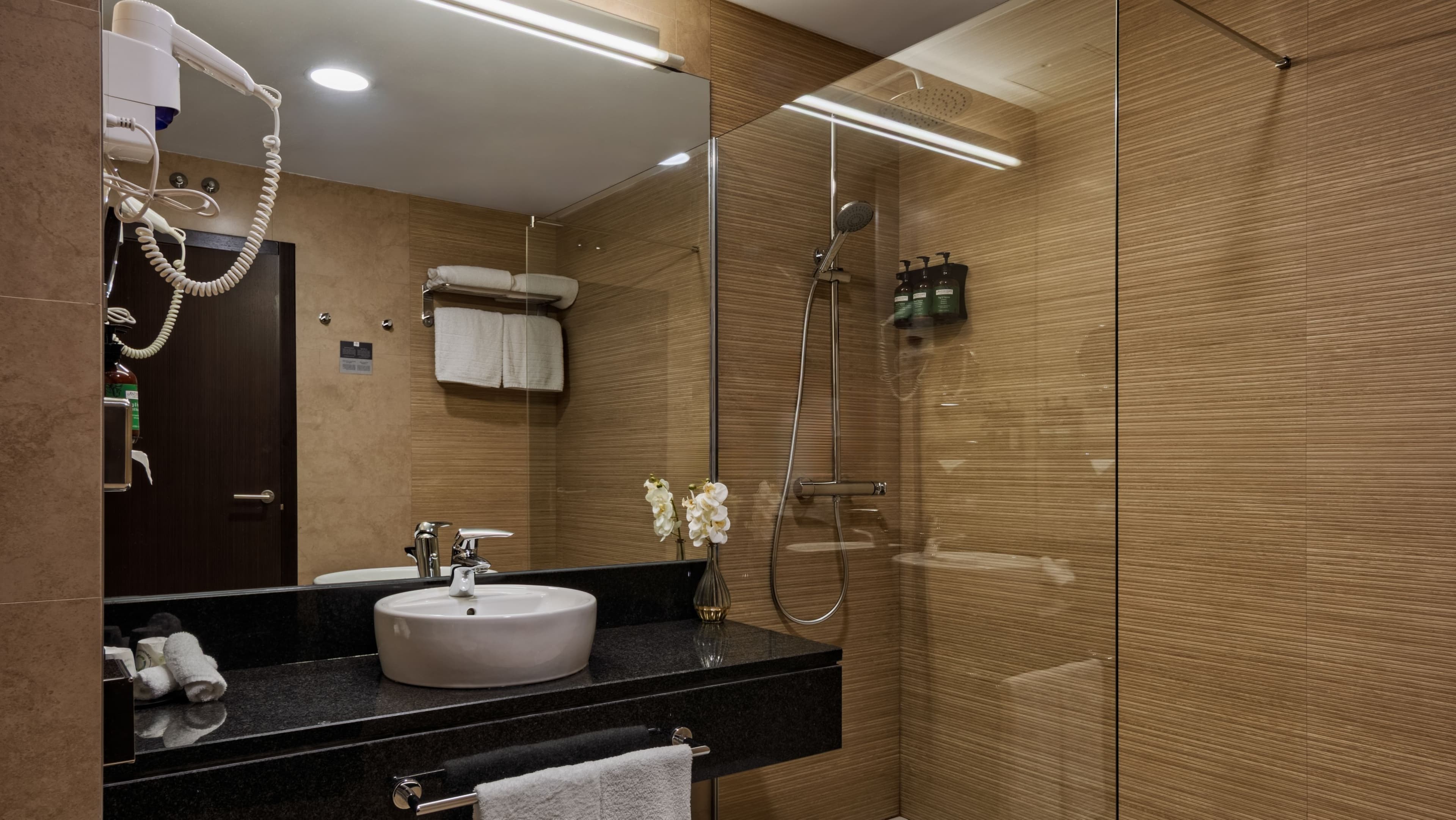 Crowne Plaza Madrid Airport — 42