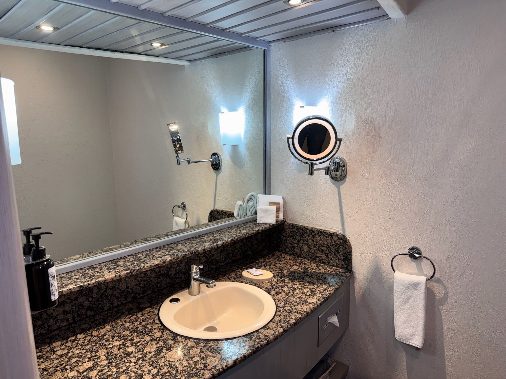 Crowne Plaza Toluca-Lancaster — 11
