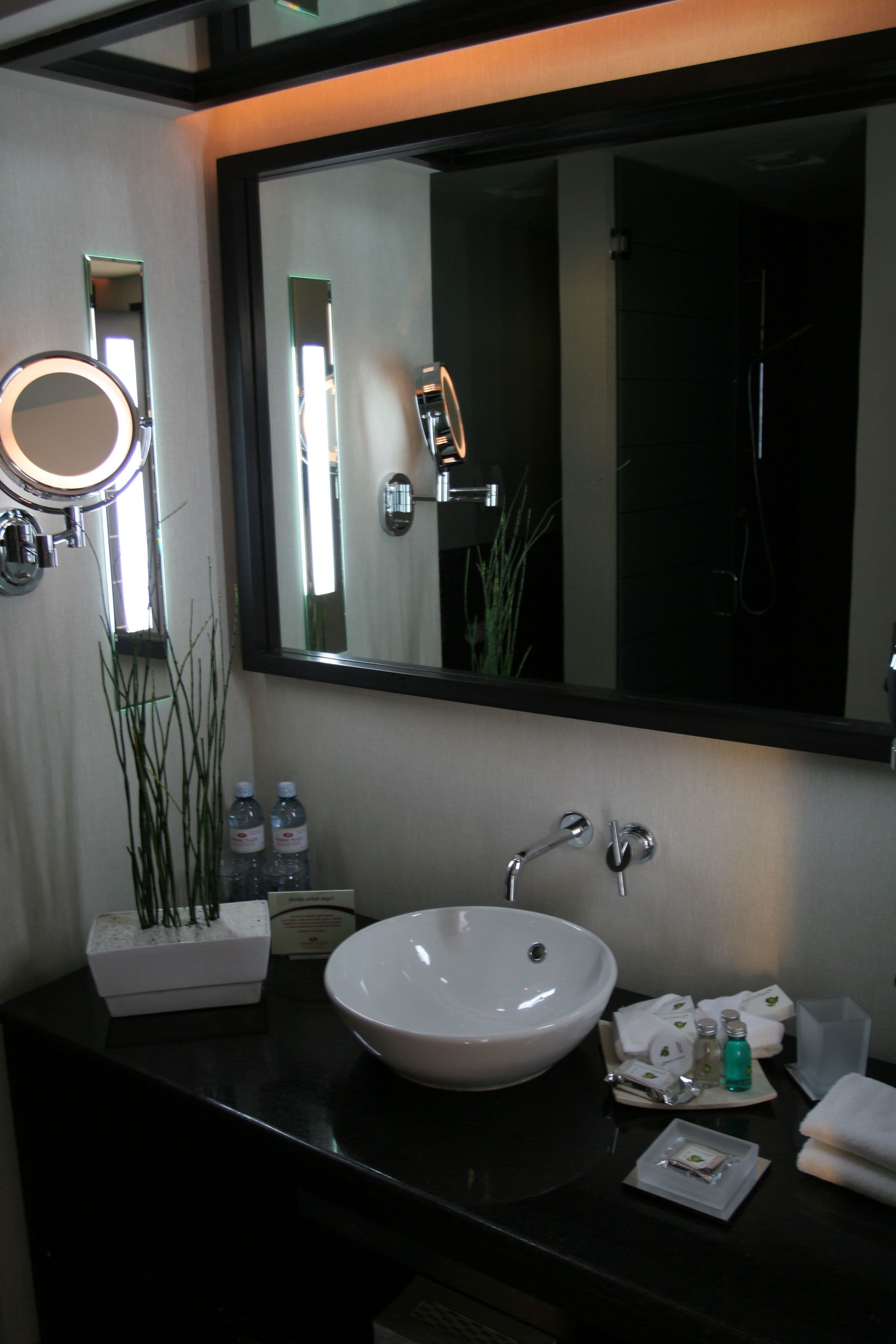 Crowne Plaza Toluca-Lancaster — 7