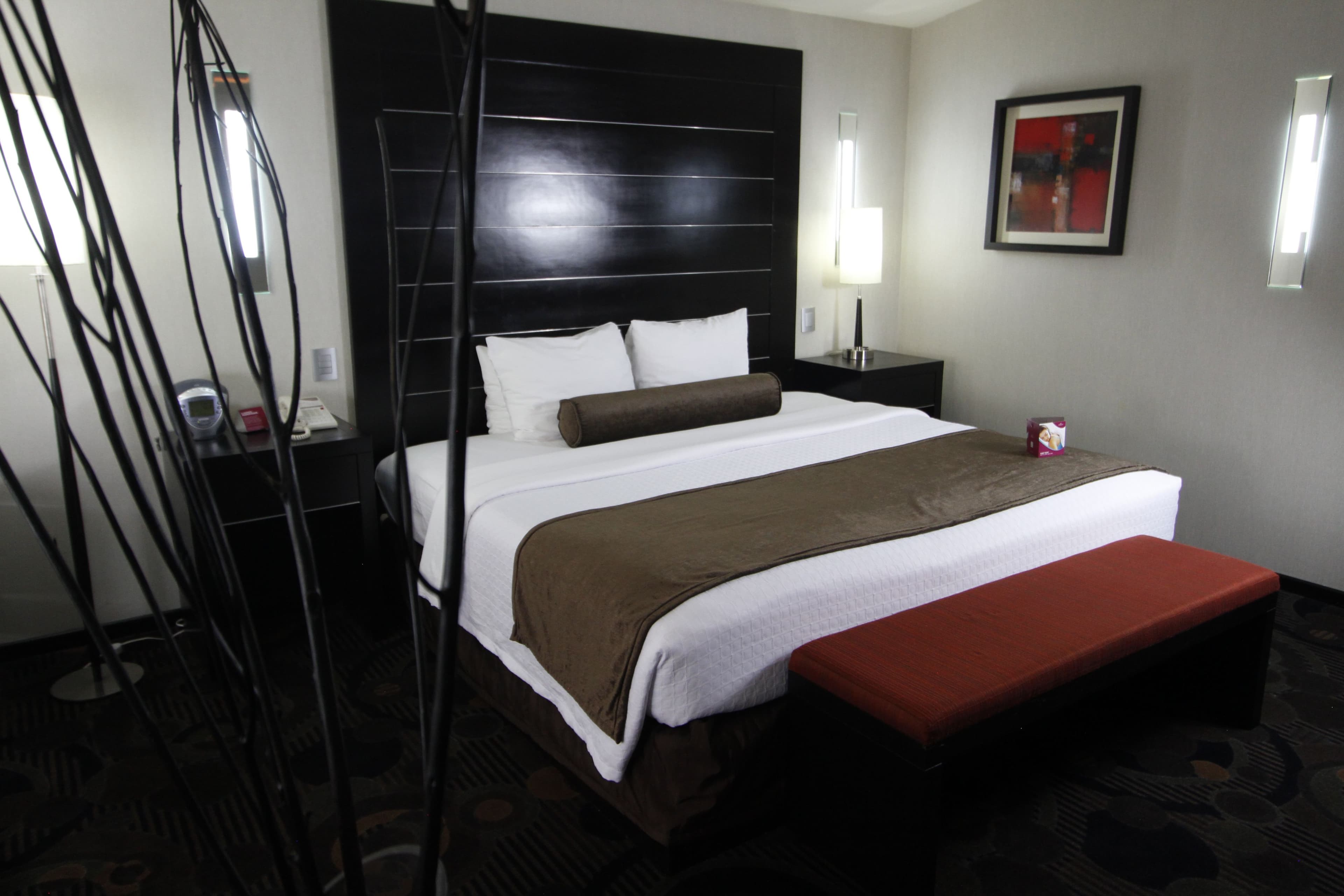 Crowne Plaza Toluca-Lancaster — 6