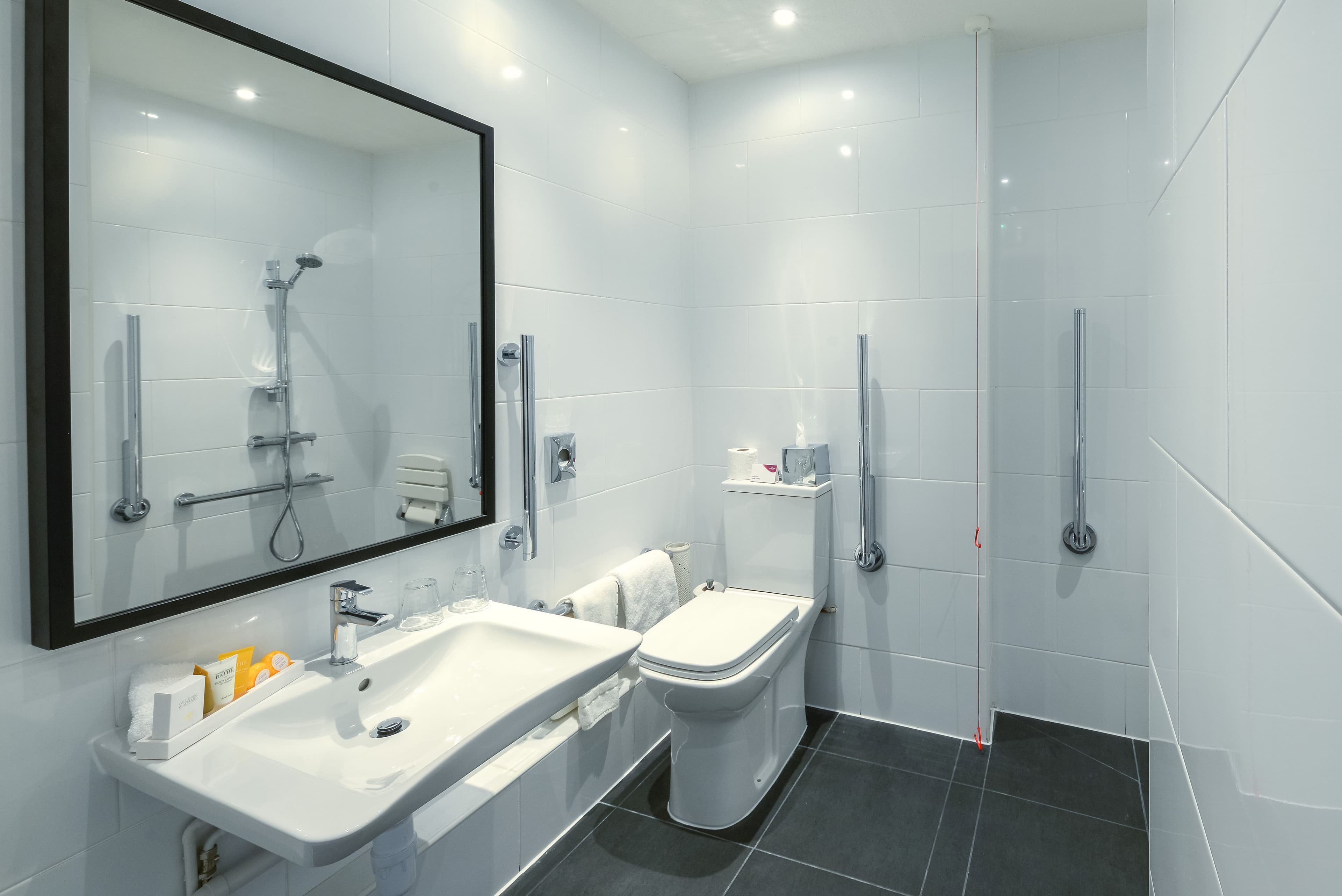 Crowne Plaza Plymouth — 10