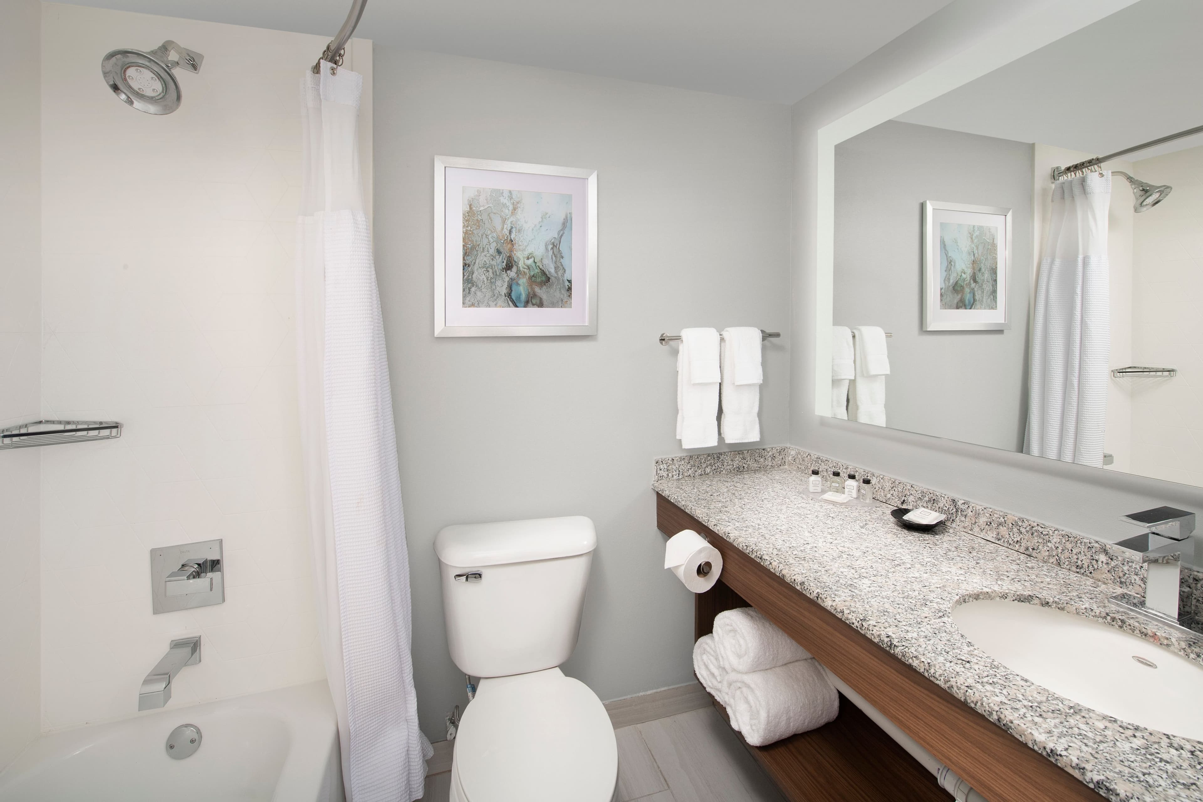 Crowne Plaza San Antonio Airport - Image 3