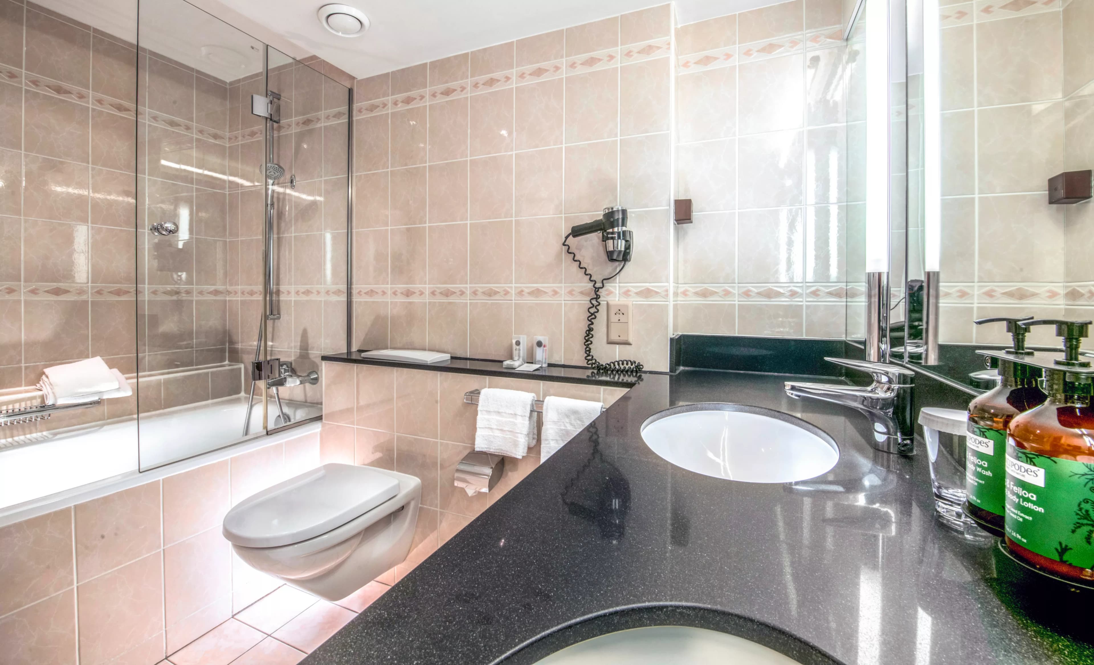 Crowne Plaza Zurich — 25