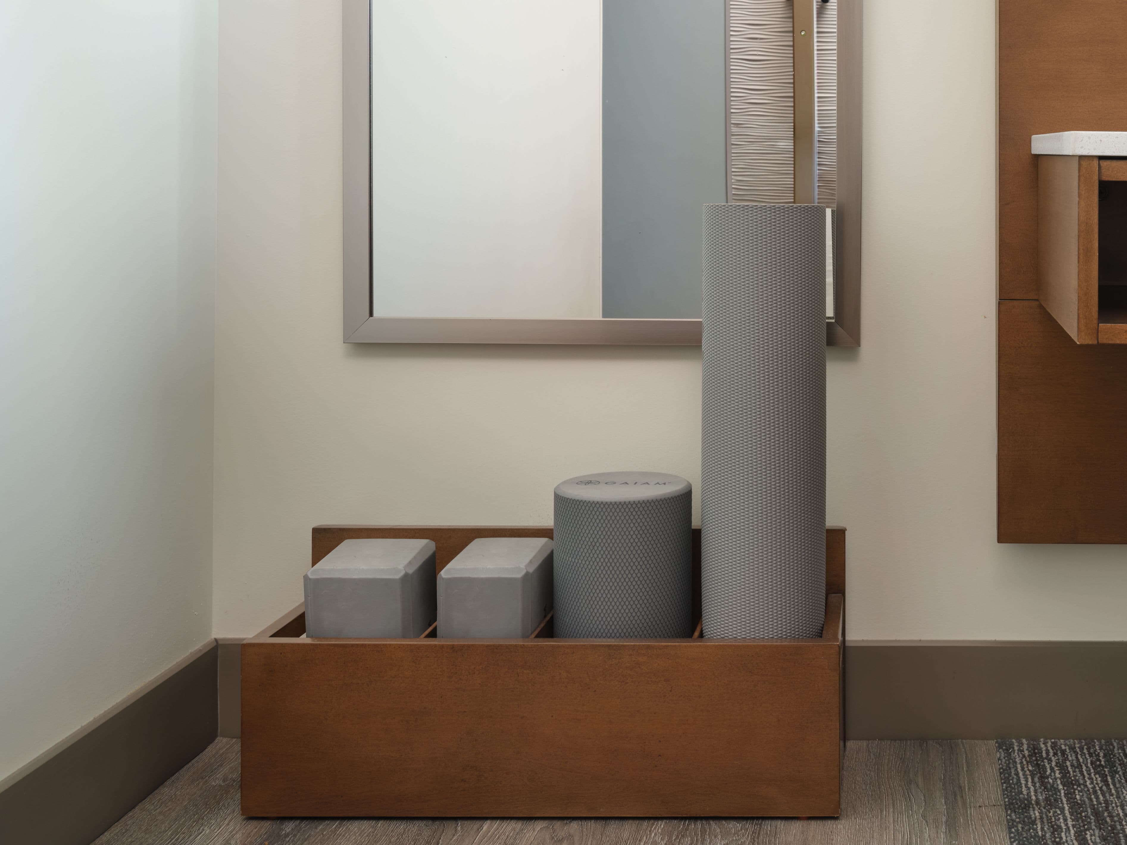 1 King Premium Mobility Accessible Transfer Shower - Image 7