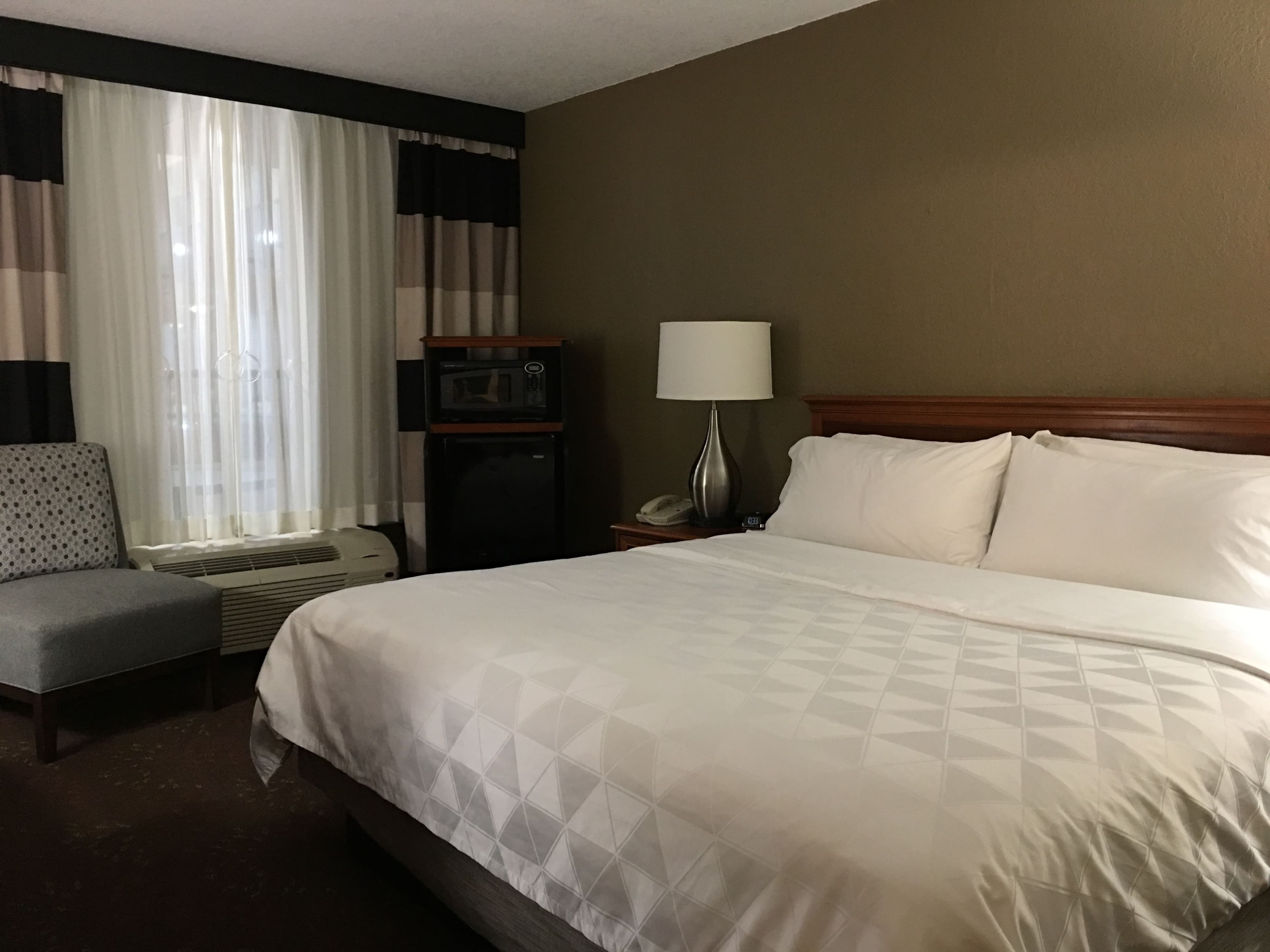 Holiday Inn Alexandria — 6