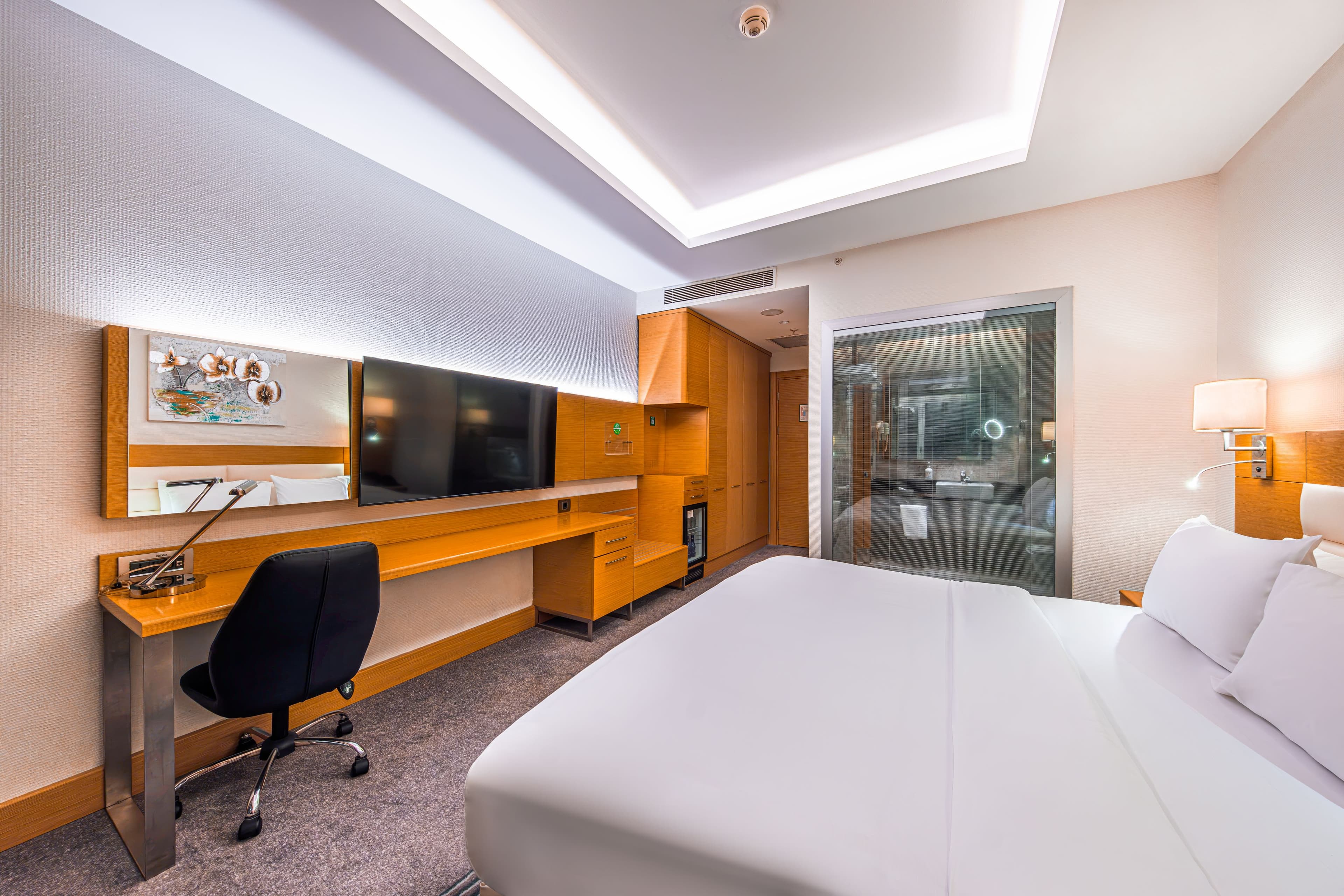 Holiday Inn Ankara - Cukurambar — 9