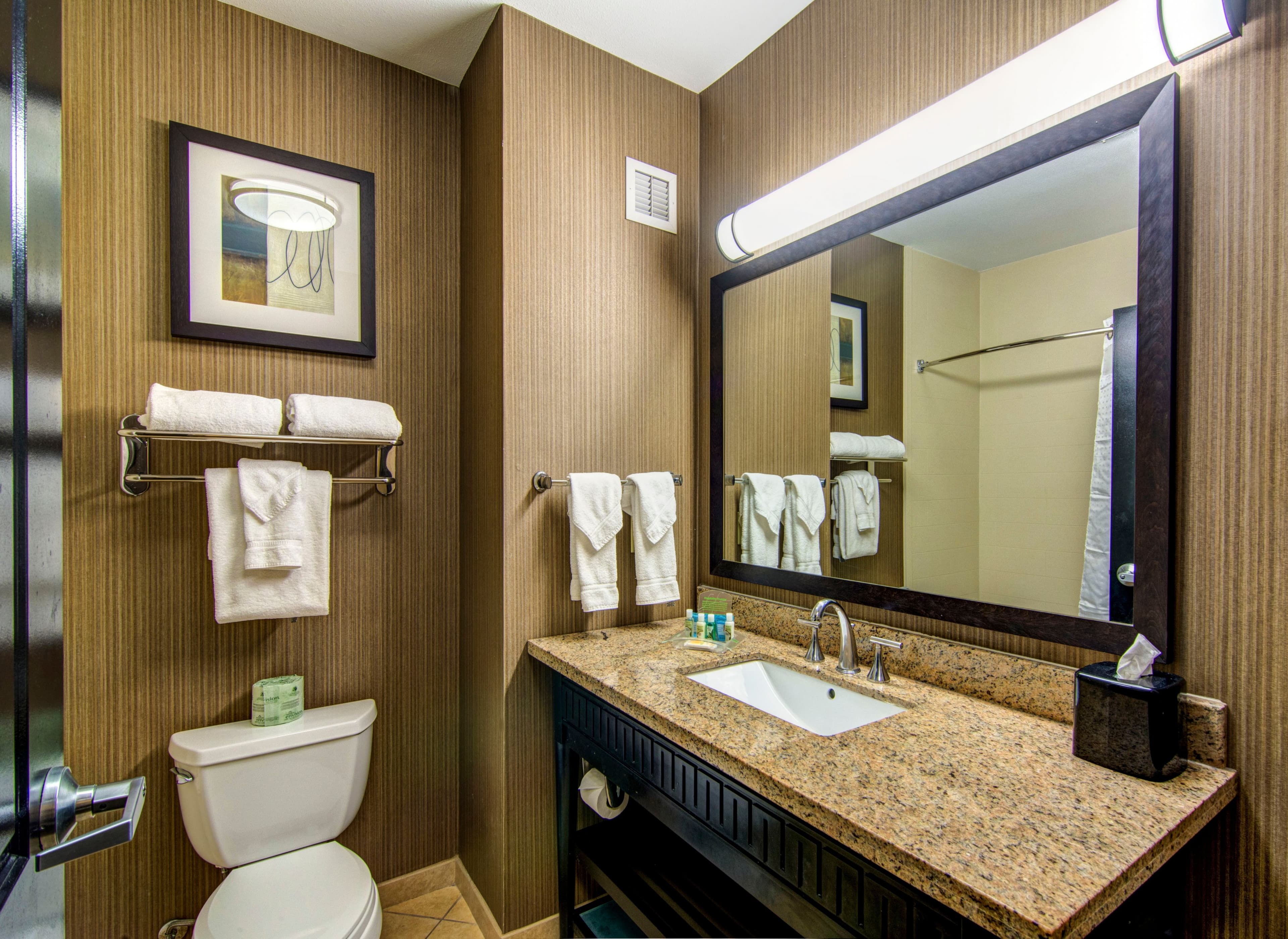 Holiday Inn Arlington NE-Rangers Ballpark — 11