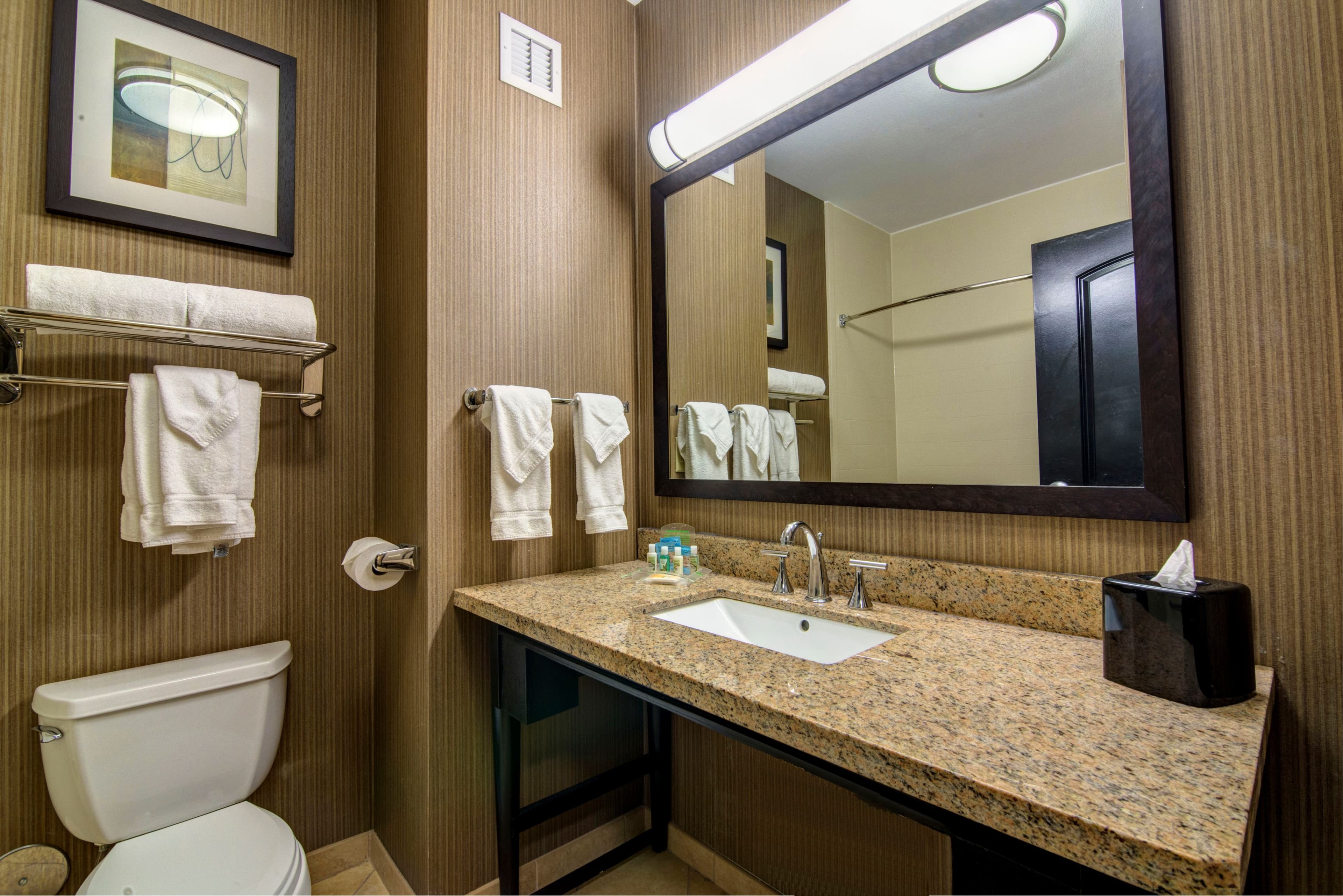 Holiday Inn Arlington NE-Rangers Ballpark - Image 4
