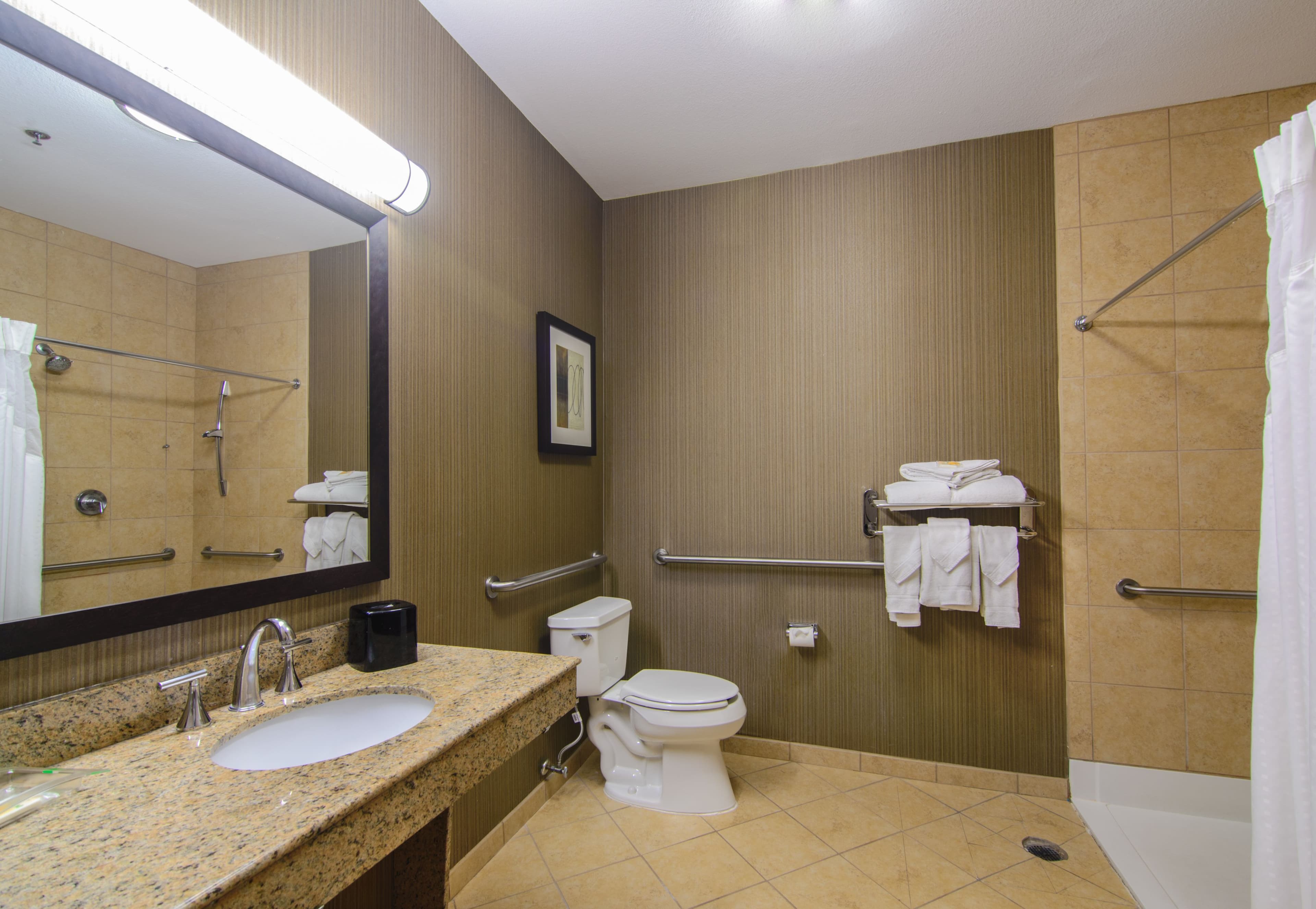 Holiday Inn Arlington NE-Rangers Ballpark — 6