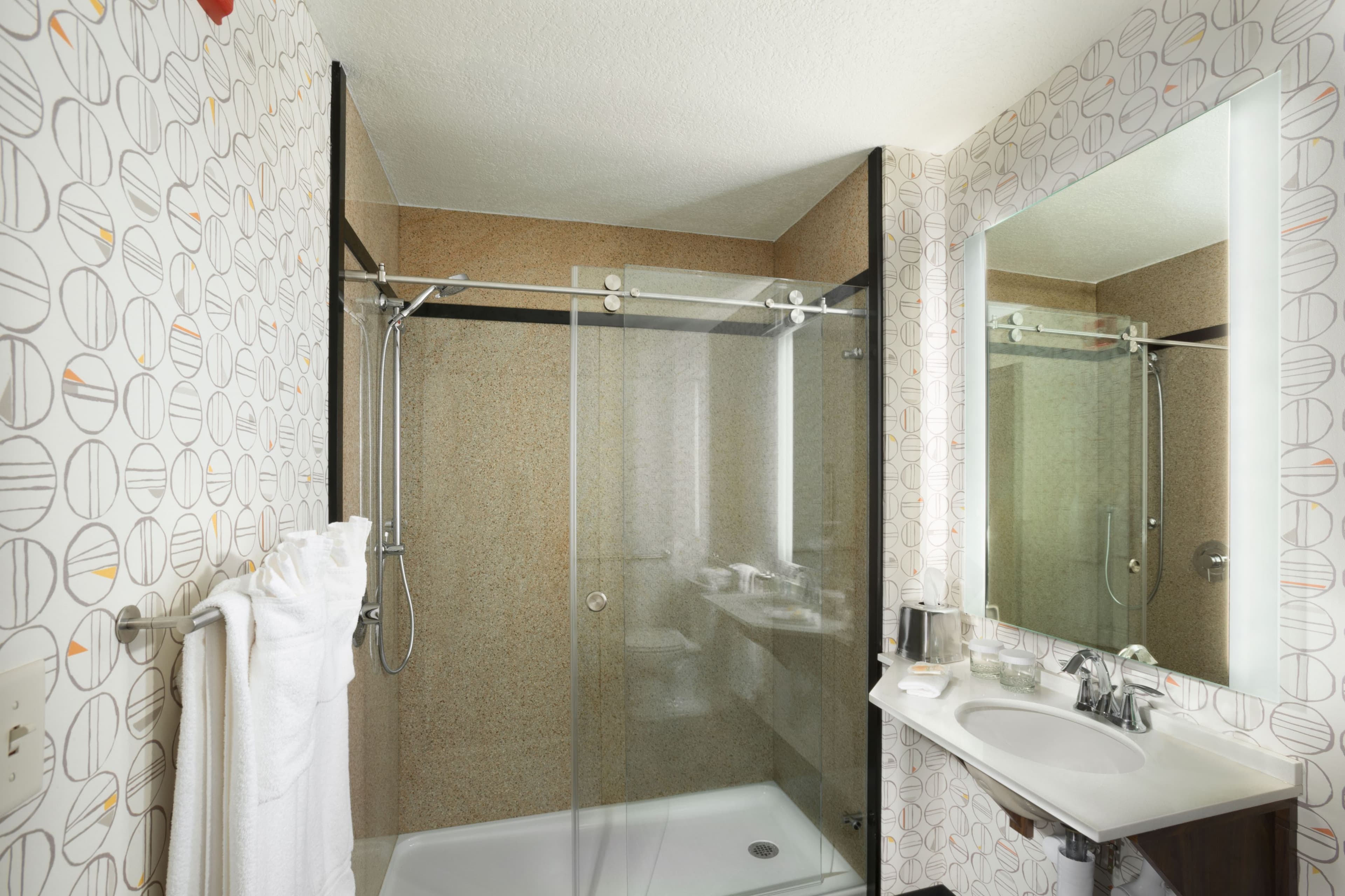 Holiday Inn Asheville East-Blue Ridge PKWY - Image 5