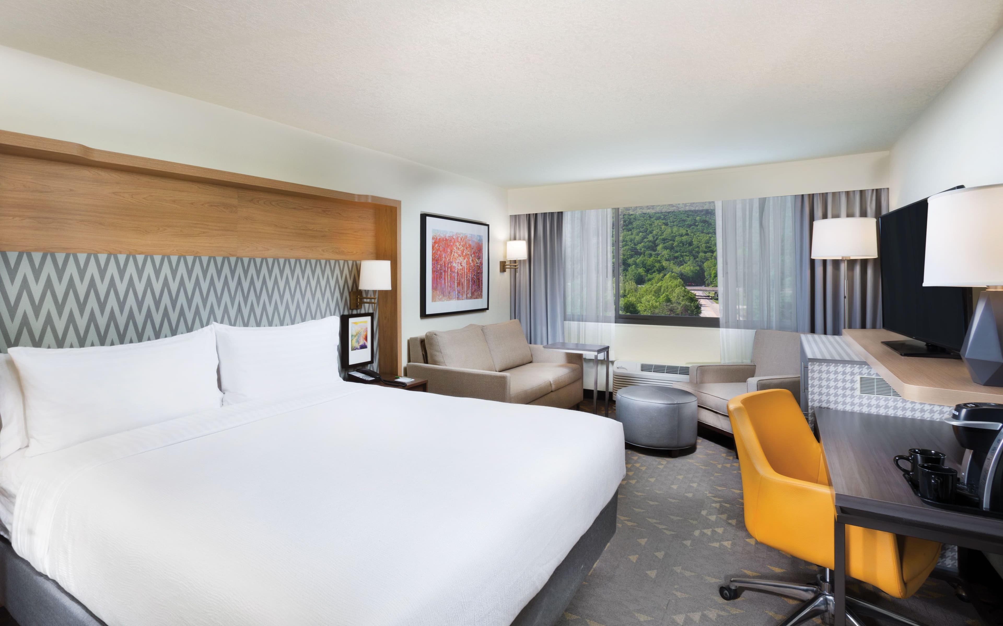 Holiday Inn Asheville East-Blue Ridge PKWY — 7