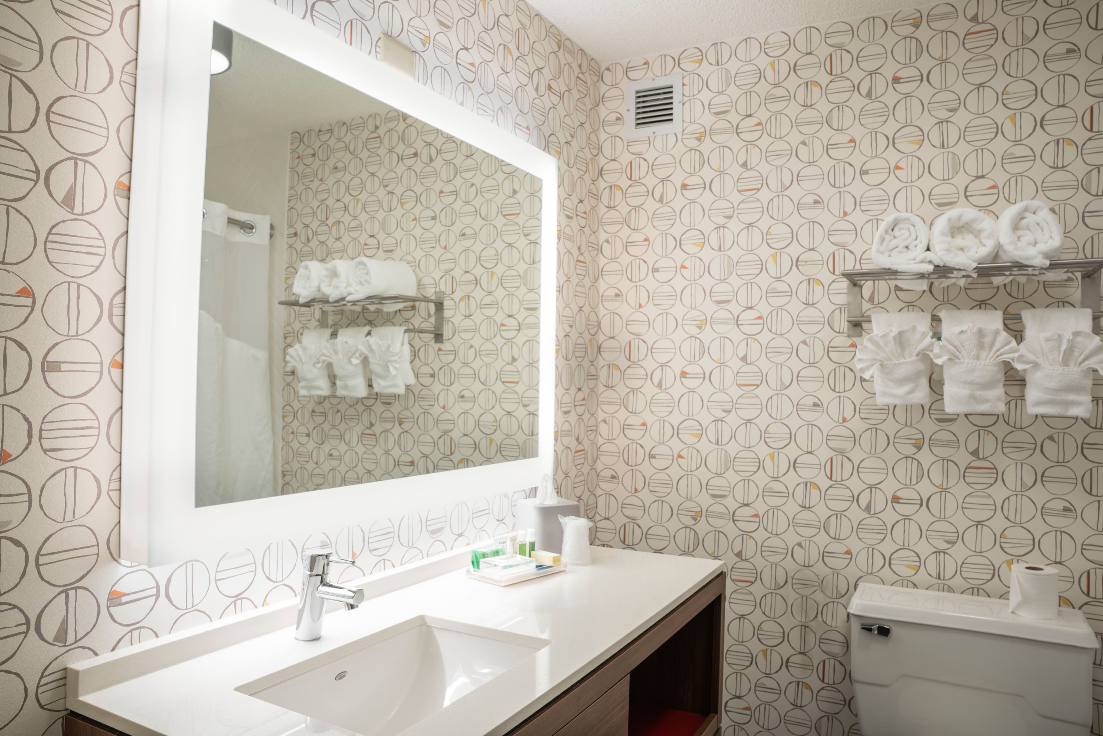 Holiday Inn Asheville - Biltmore West — 6