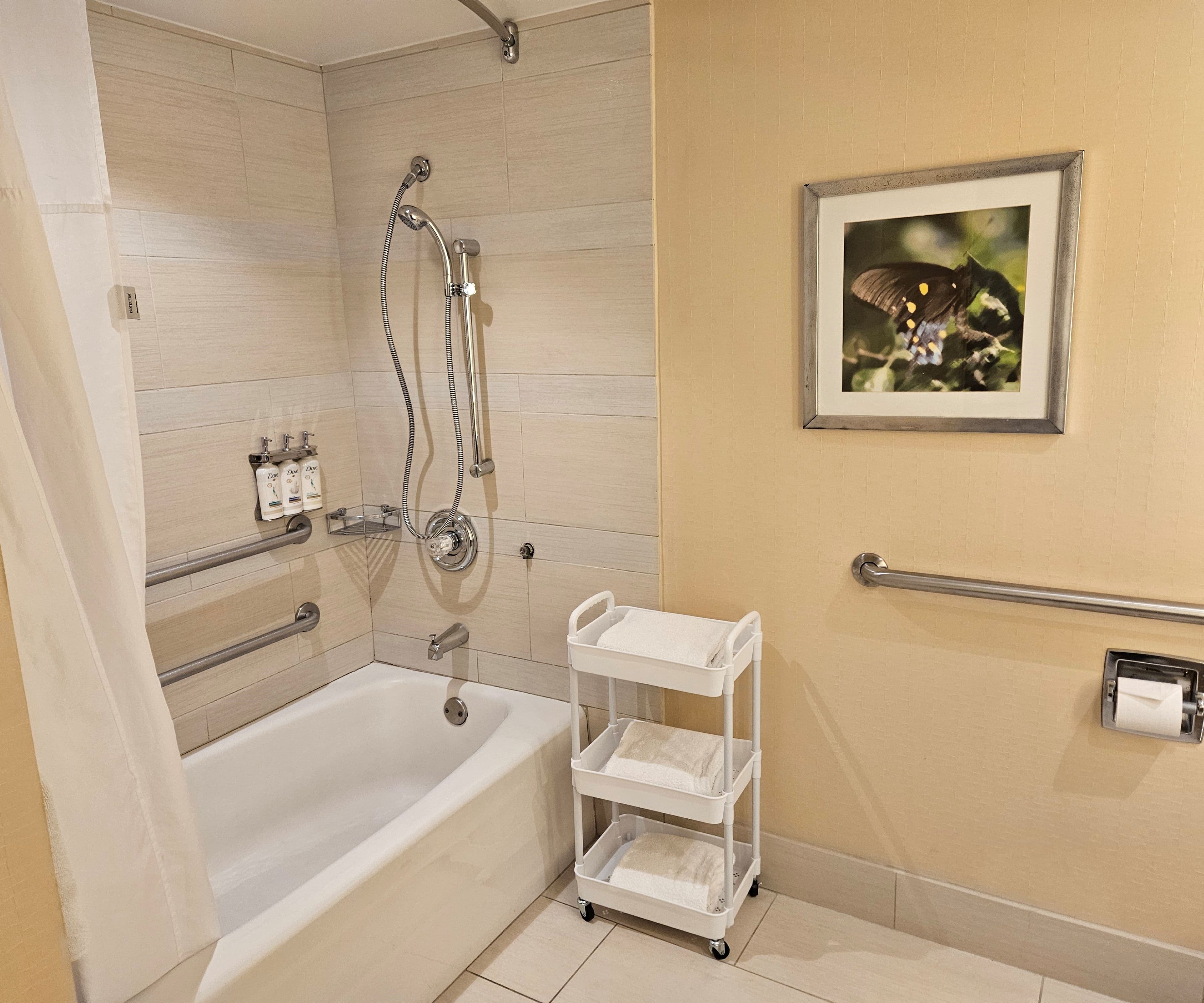 Holiday Inn Austin-Town Lake — 16