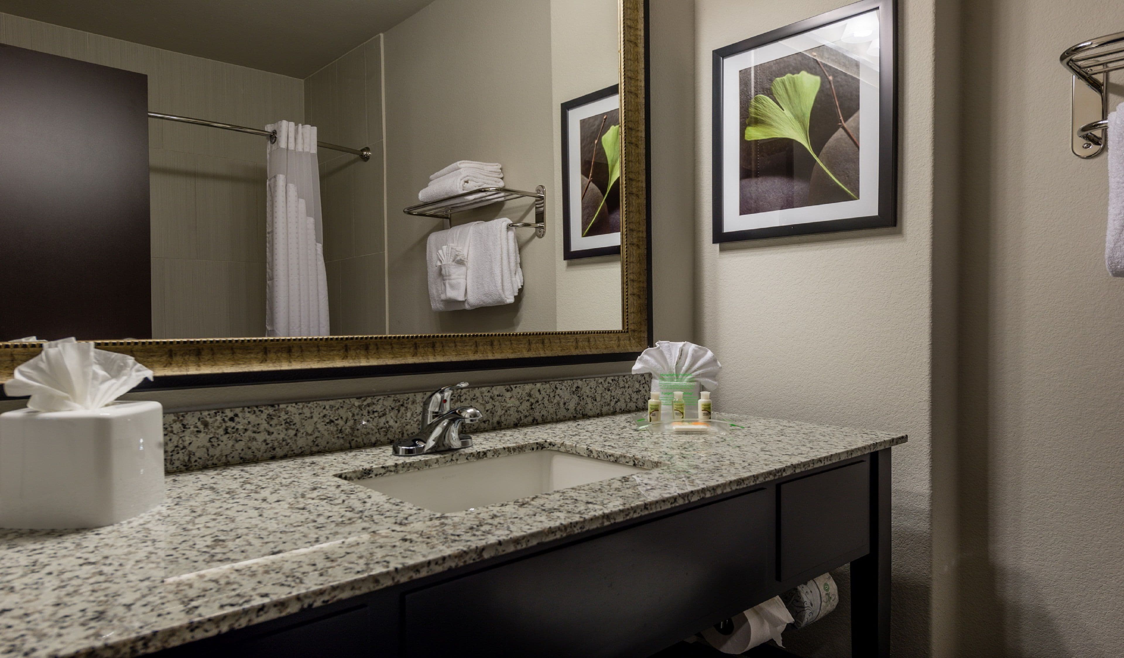 Holiday Inn Austin Airport - Image 2
