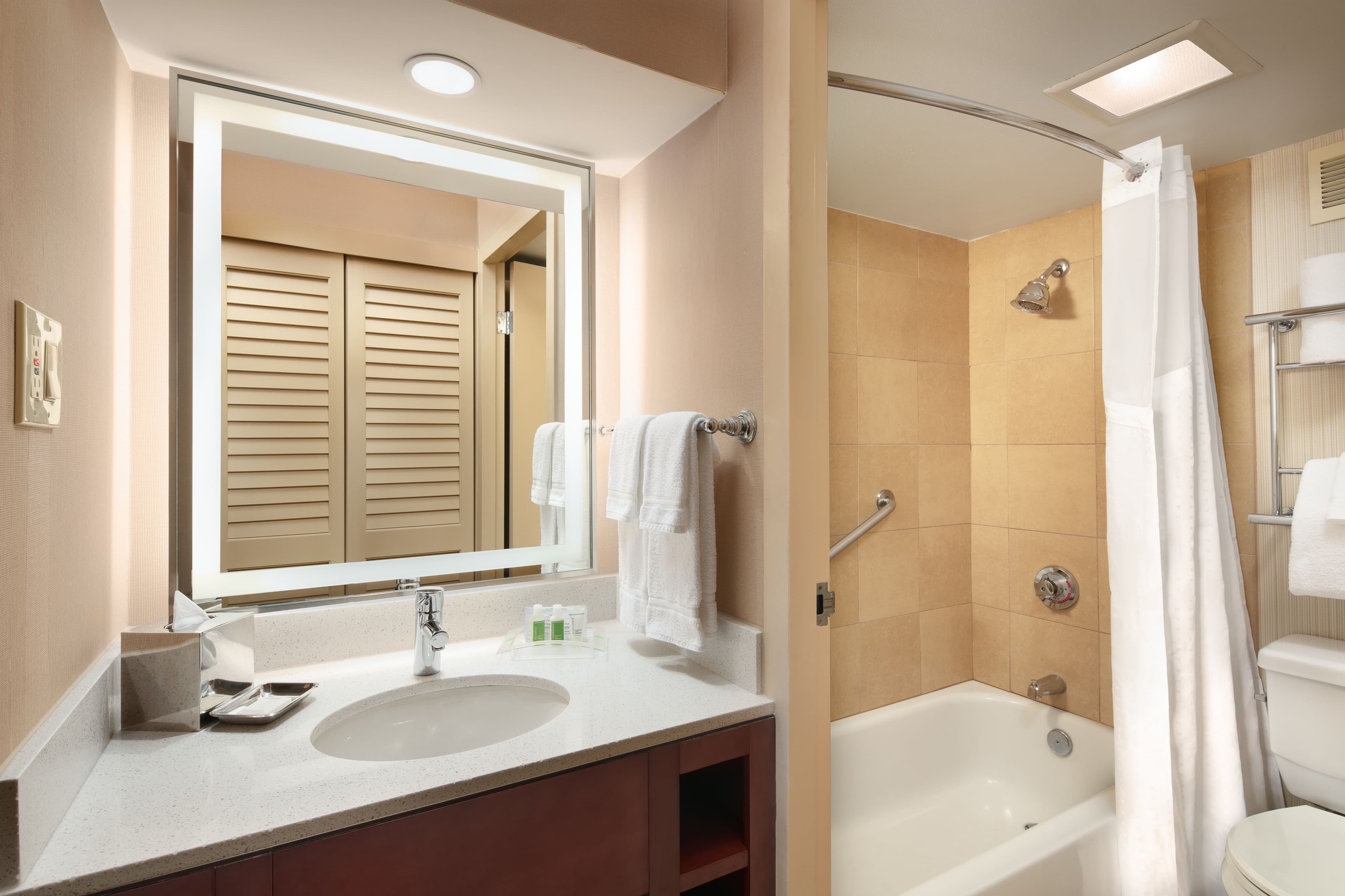 Holiday Inn Austin-Town Lake - Image 5