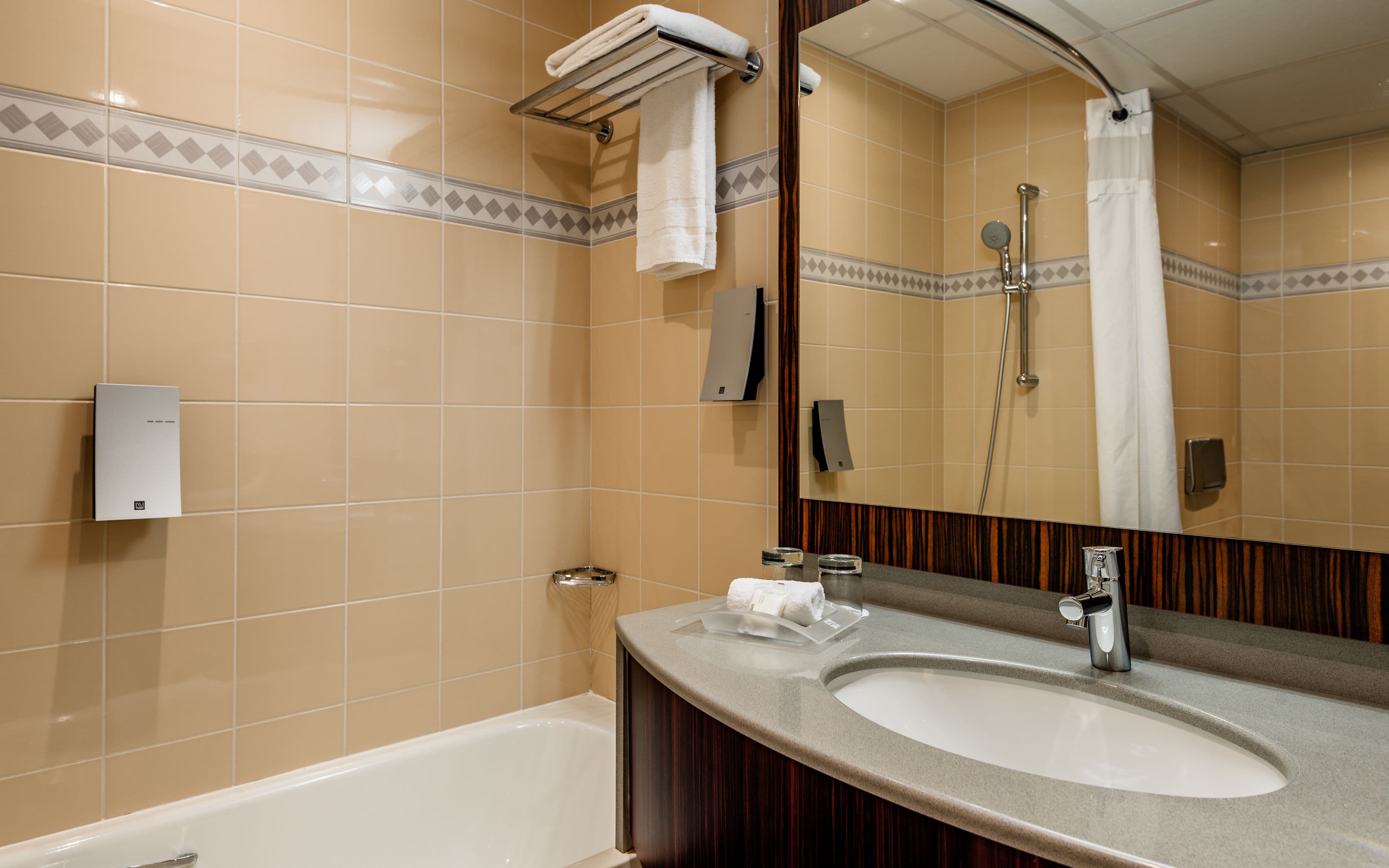Holiday Inn Toulouse Airport — 6