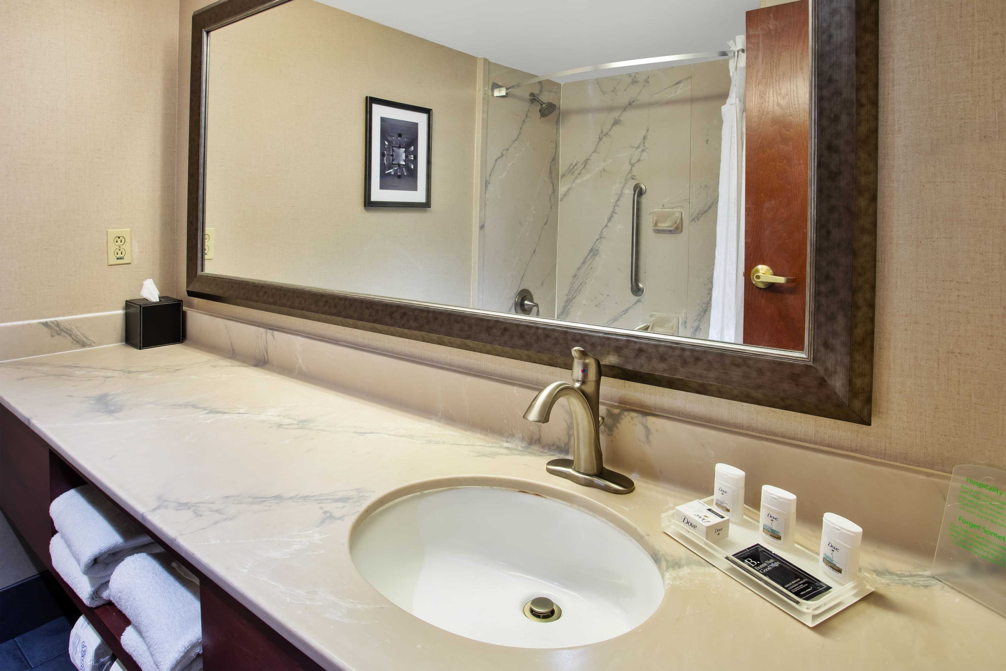 Holiday Inn University Plaza-Bowling Green - Image 3