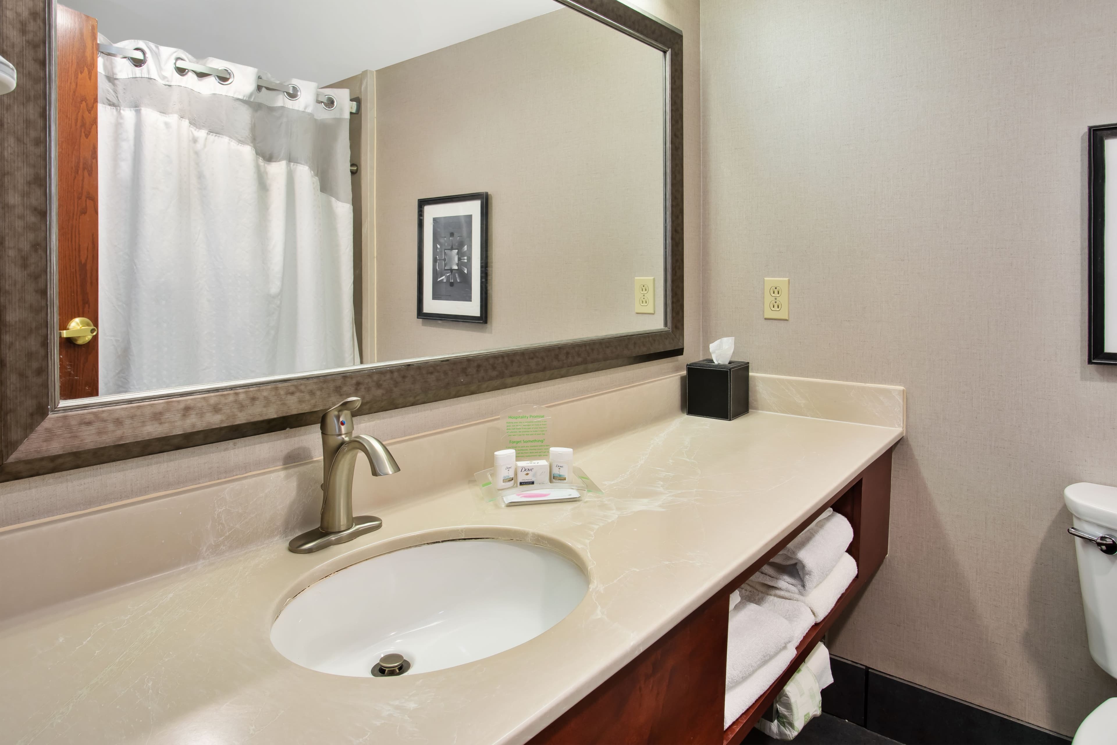 Holiday Inn University Plaza-Bowling Green — 14