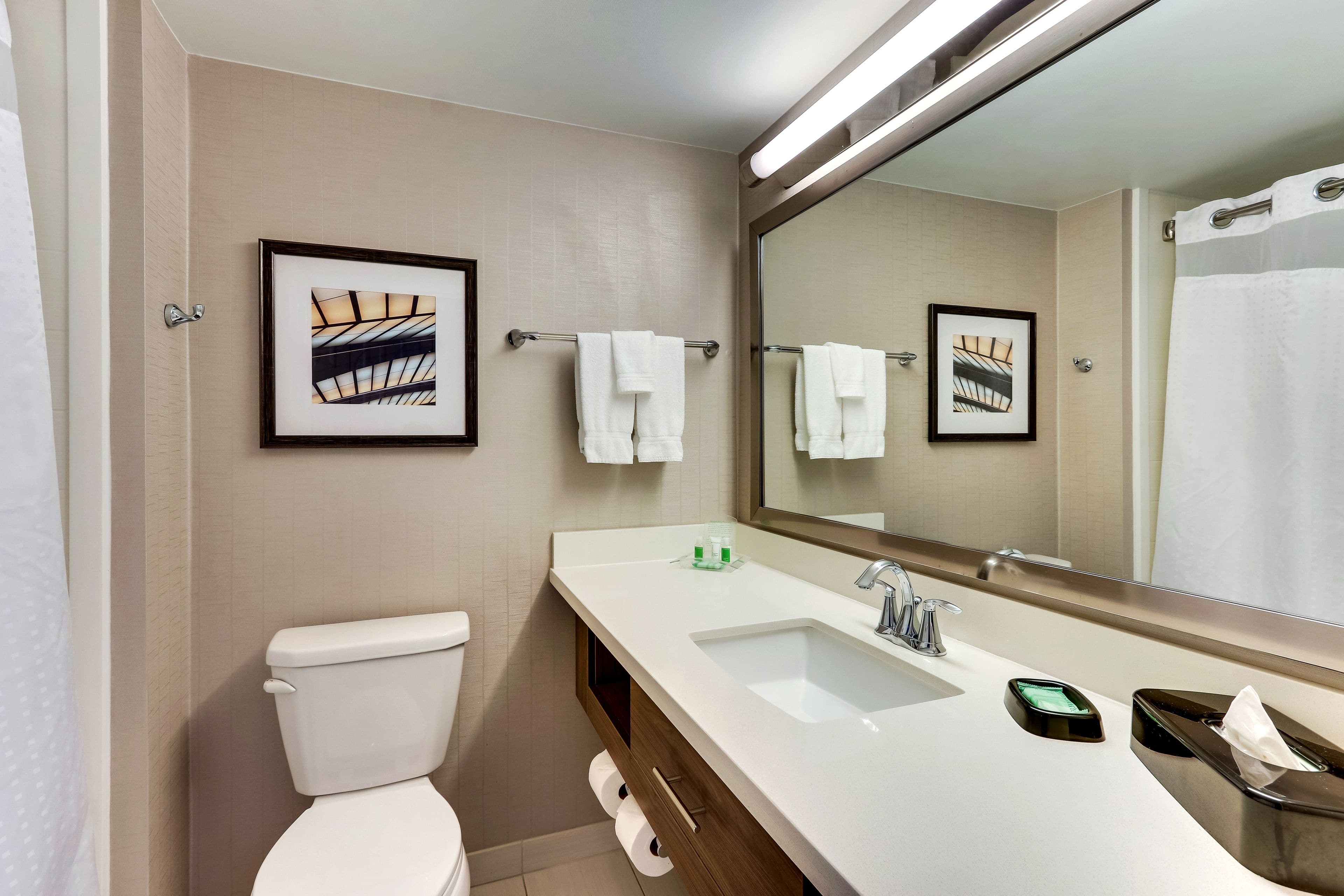 Holiday Inn Franklin - Cool Springs - Image 4