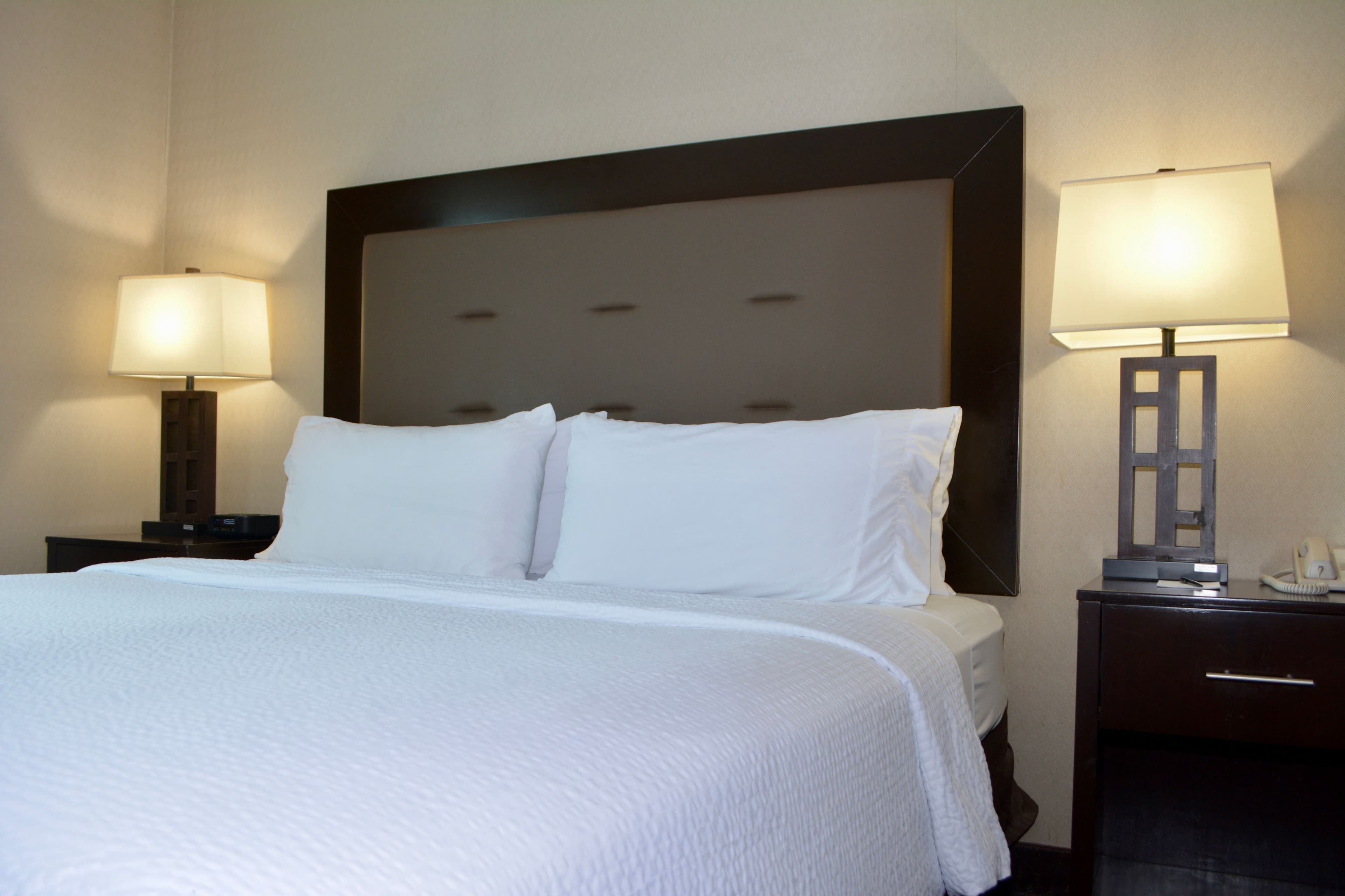 Holiday Inn Budd Lake - Rockaway Area - Image 4