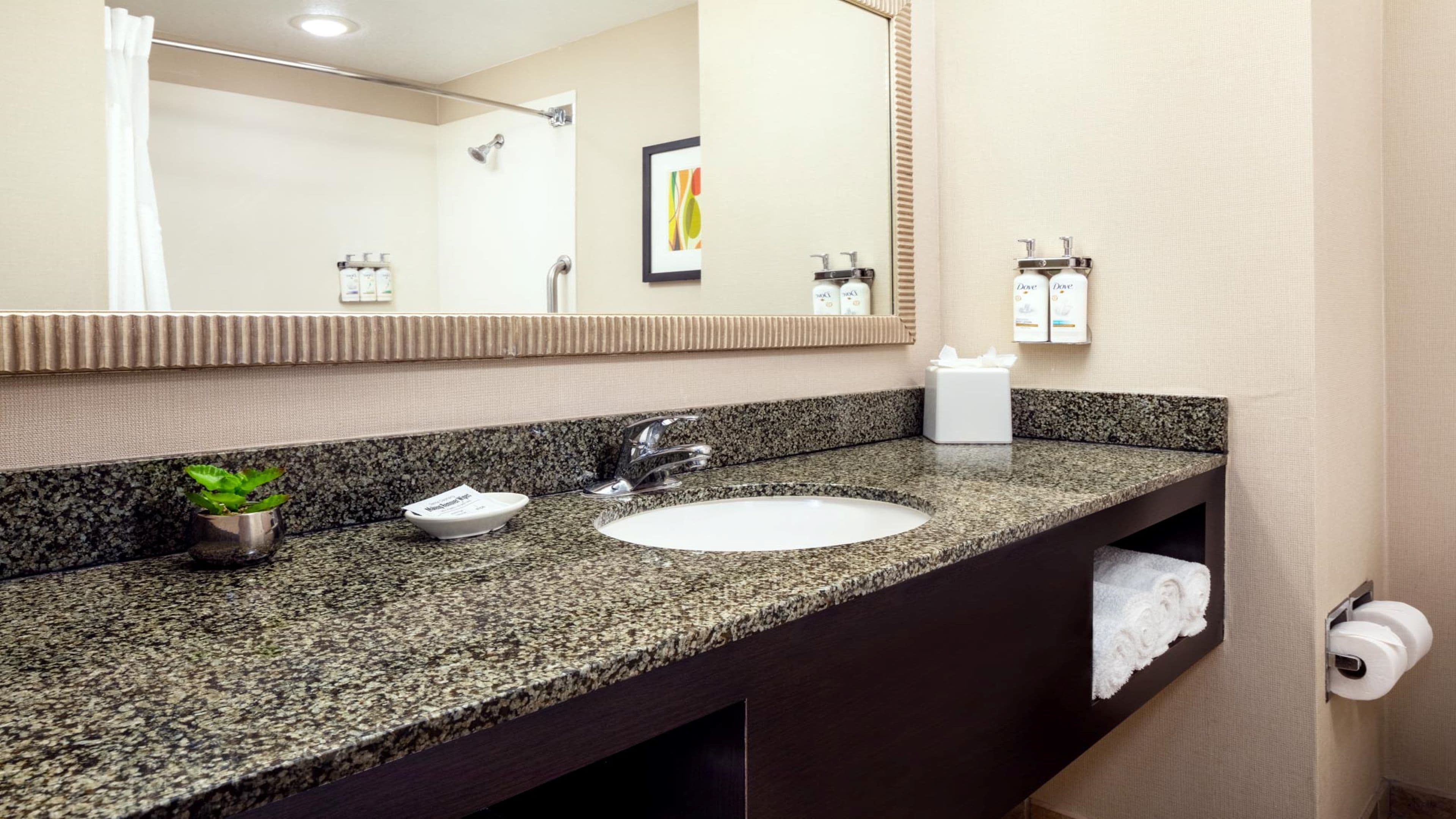 Holiday Inn Phoenix - Chandler - Image 4